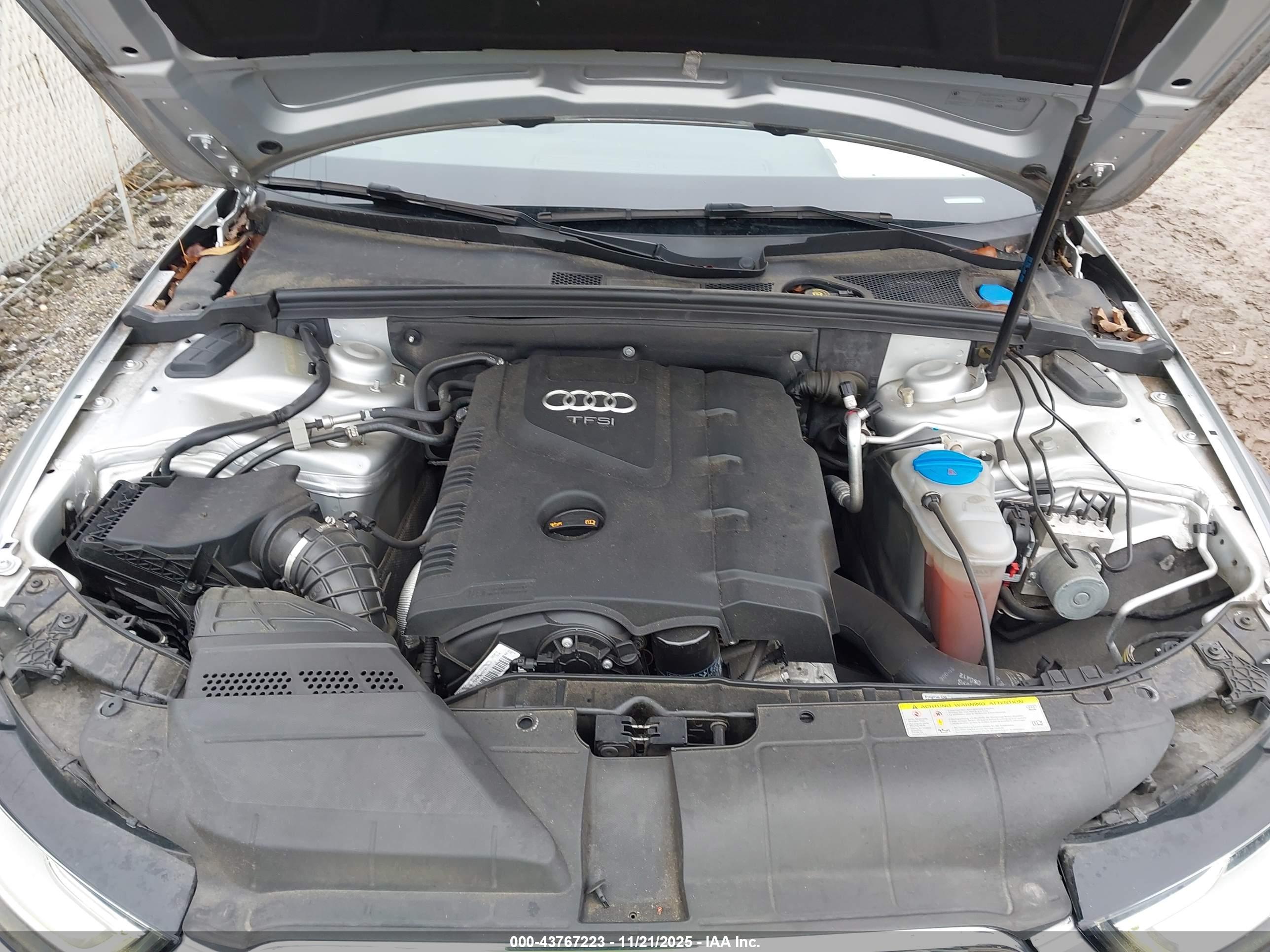 AUDI ALLROAD image 10