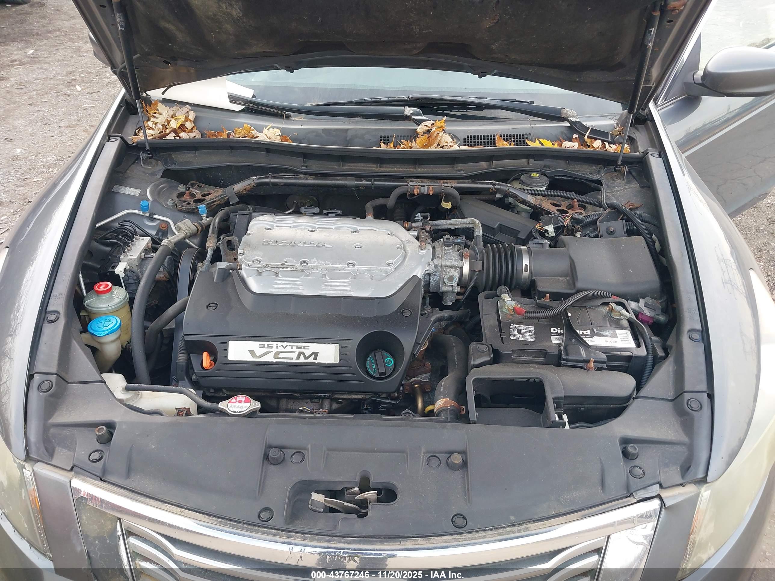 HONDA ACCORD image 10