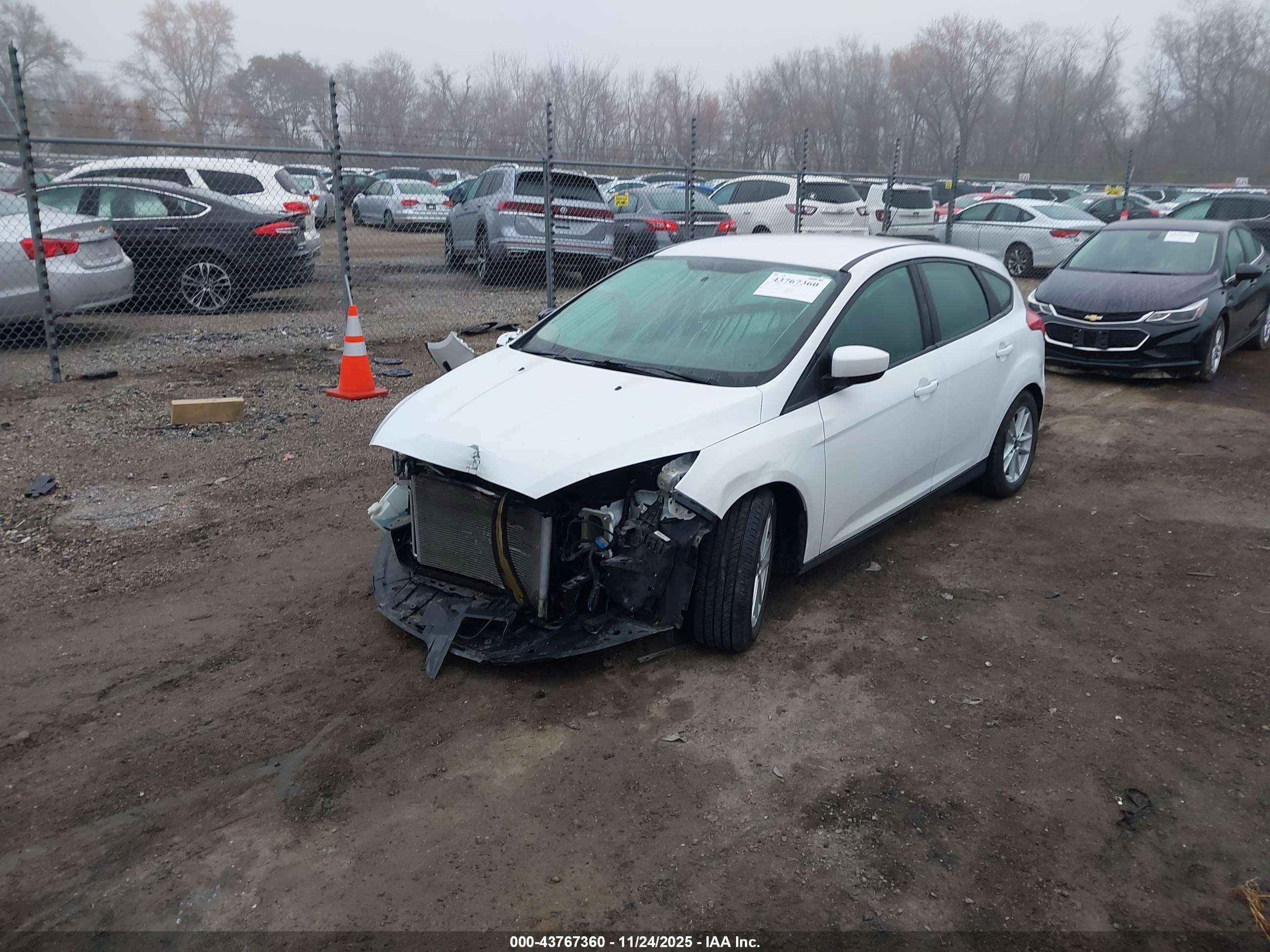 FORD FOCUS image 2