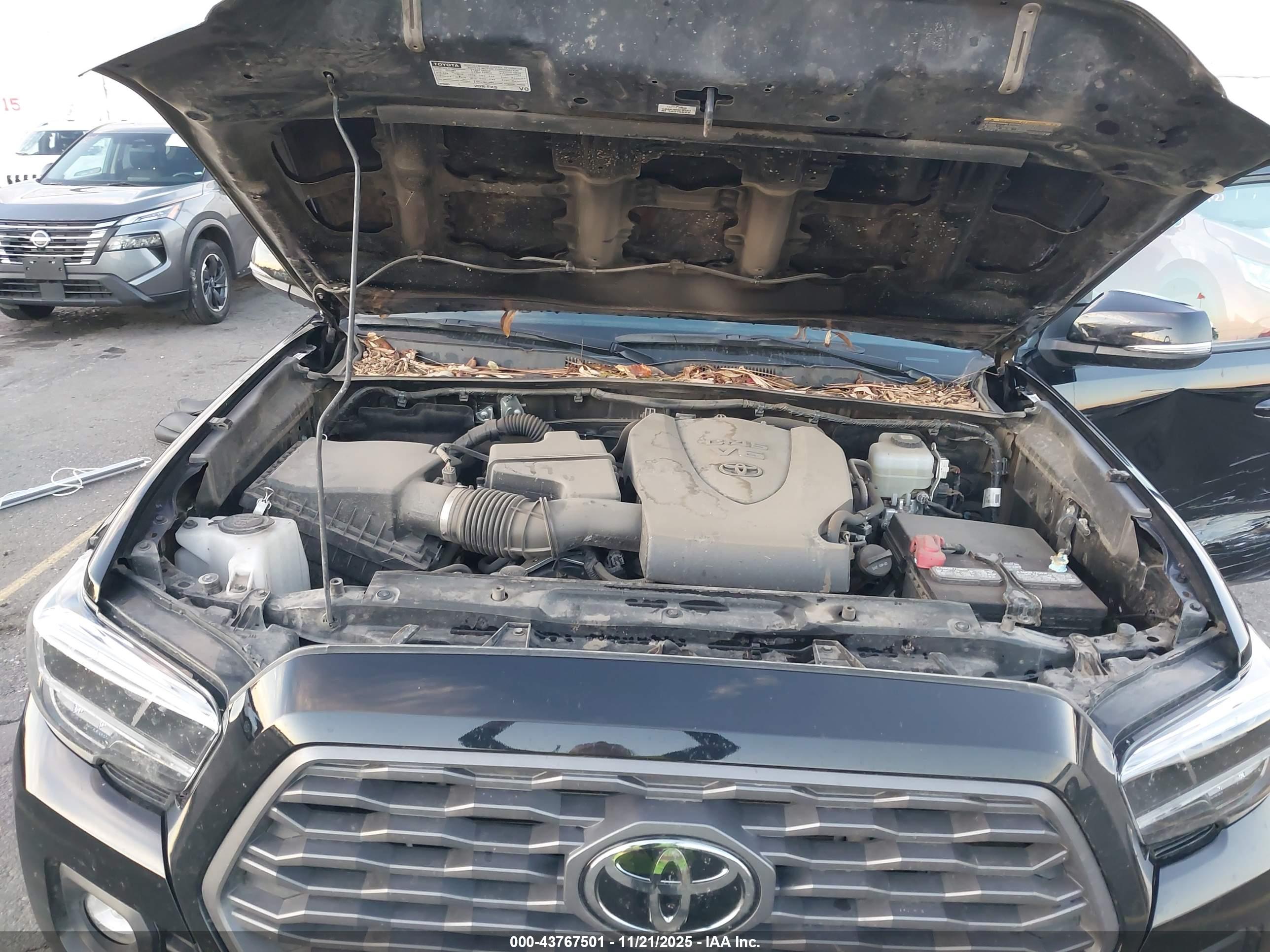 TOYOTA TACOMA image 10