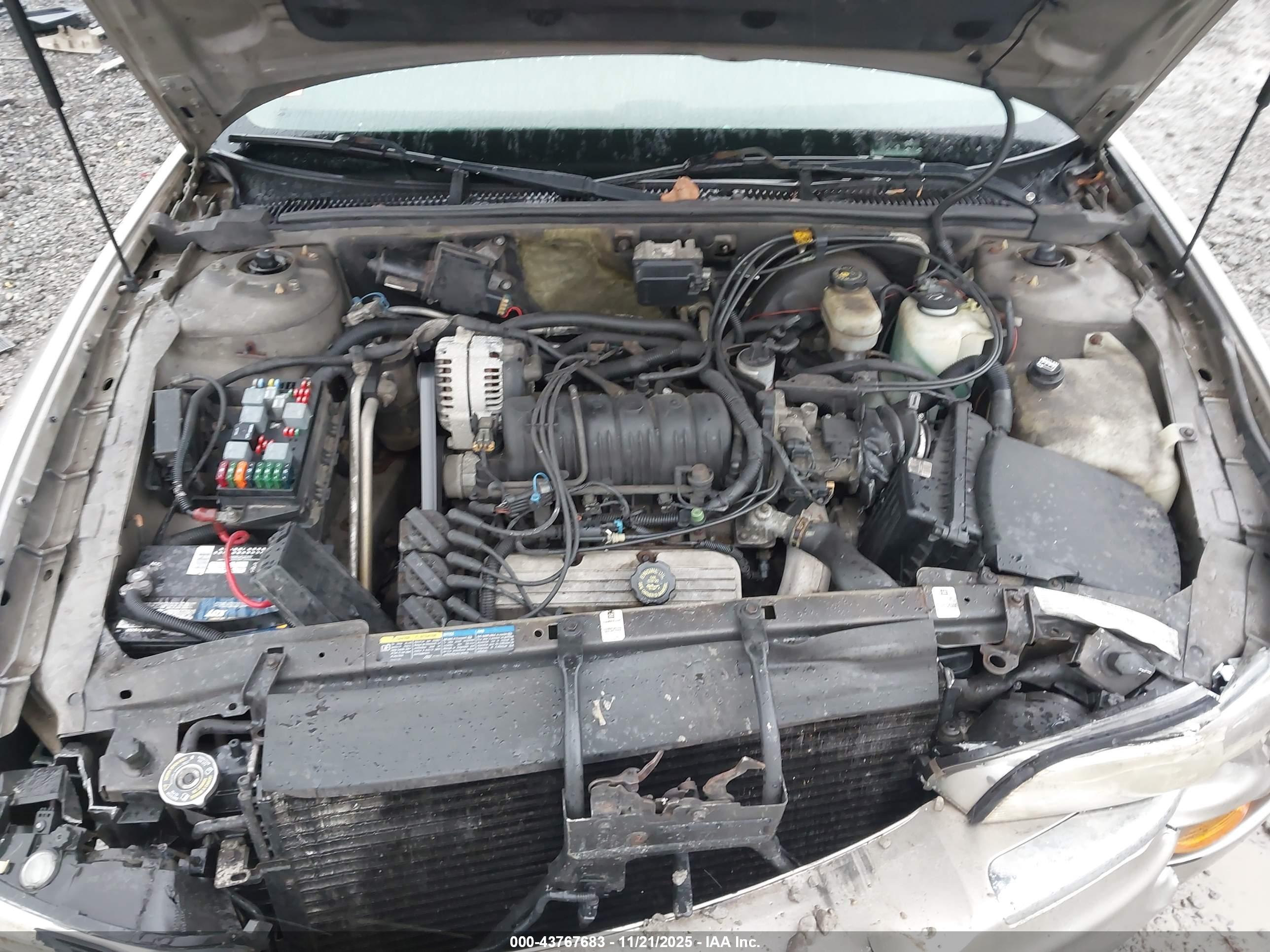 BUICK PARK image 10
