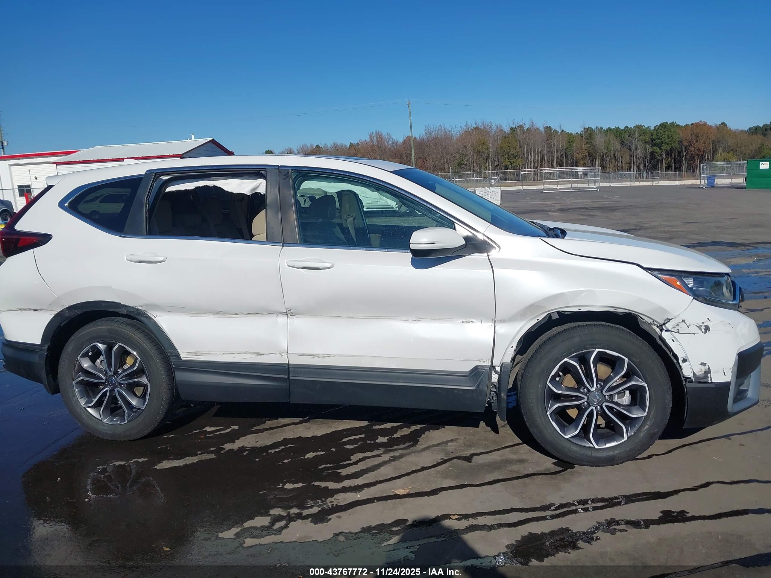 HONDA CR-V image 6