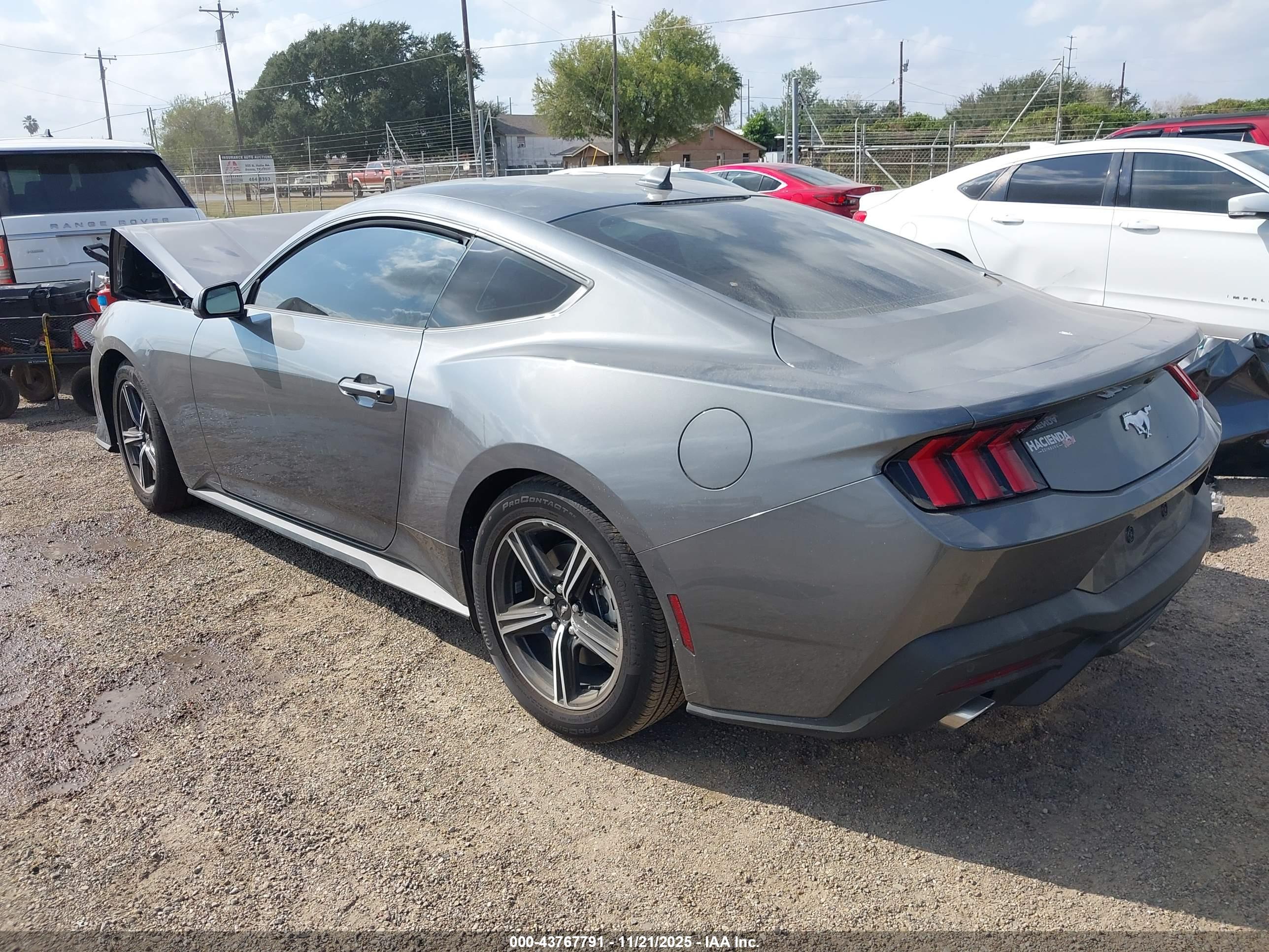 FORD MUSTANG image 3