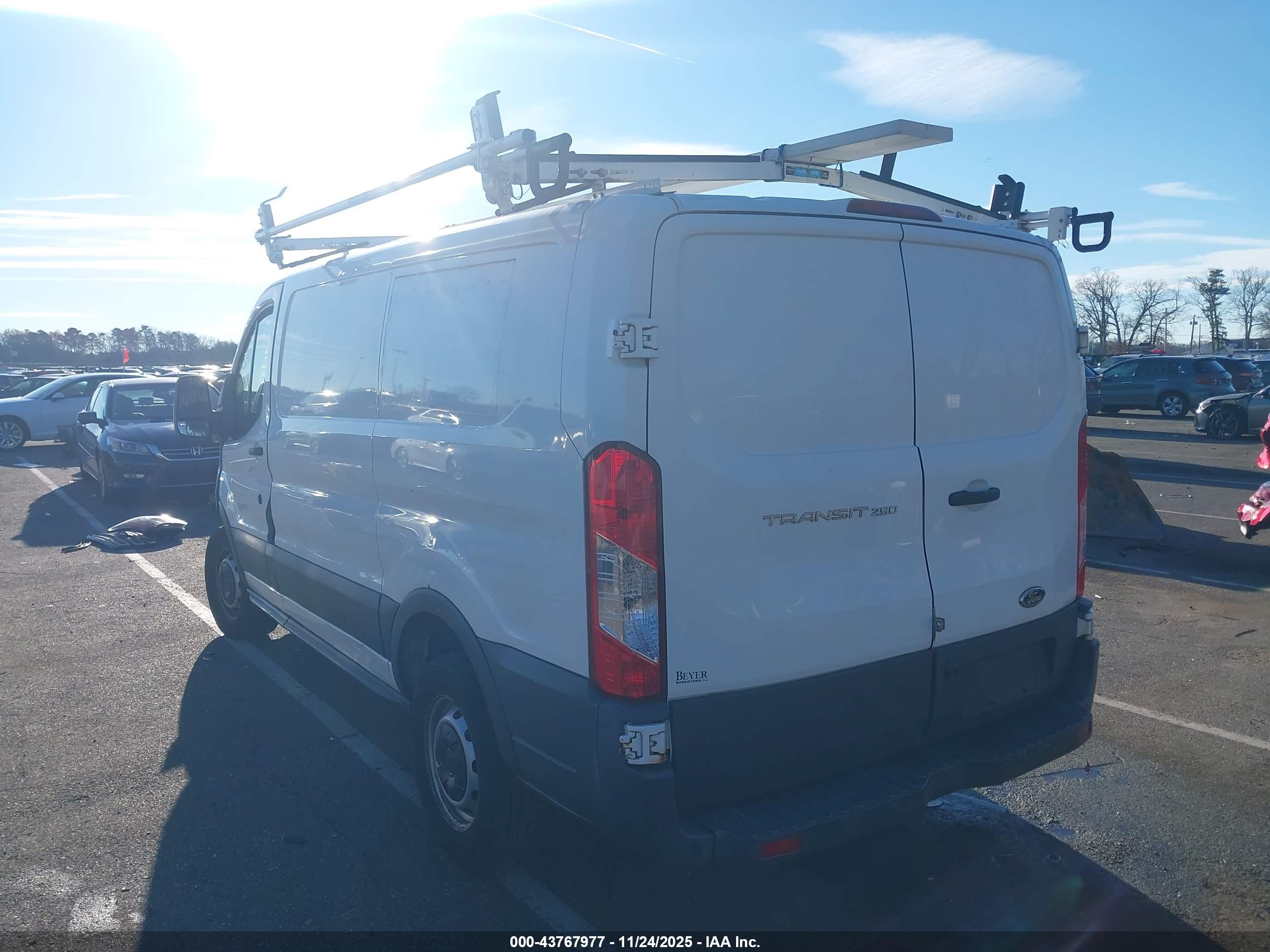 FORD TRANSIT-250 image 3