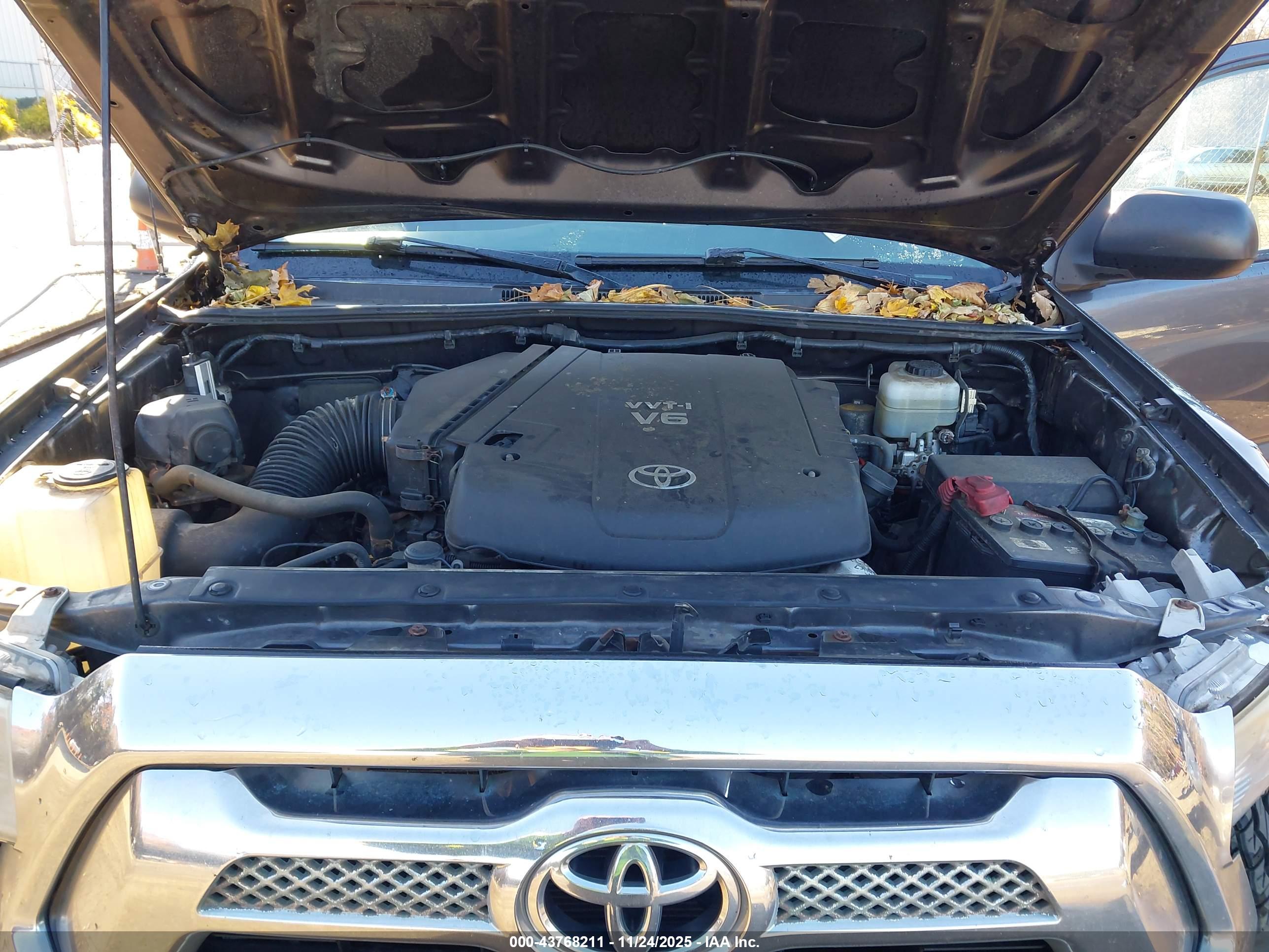 TOYOTA TACOMA image 10