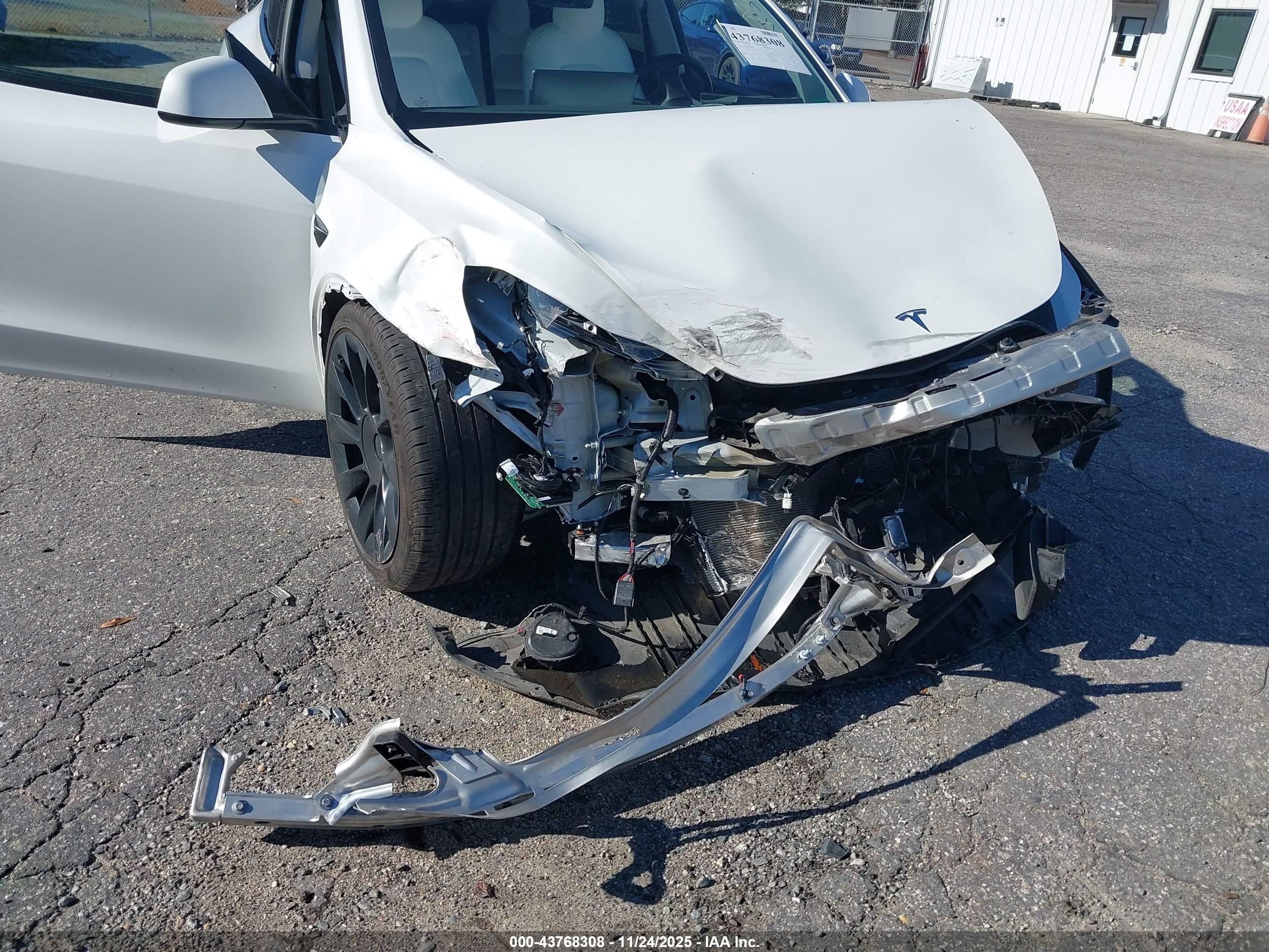 TESLA MODEL image 6