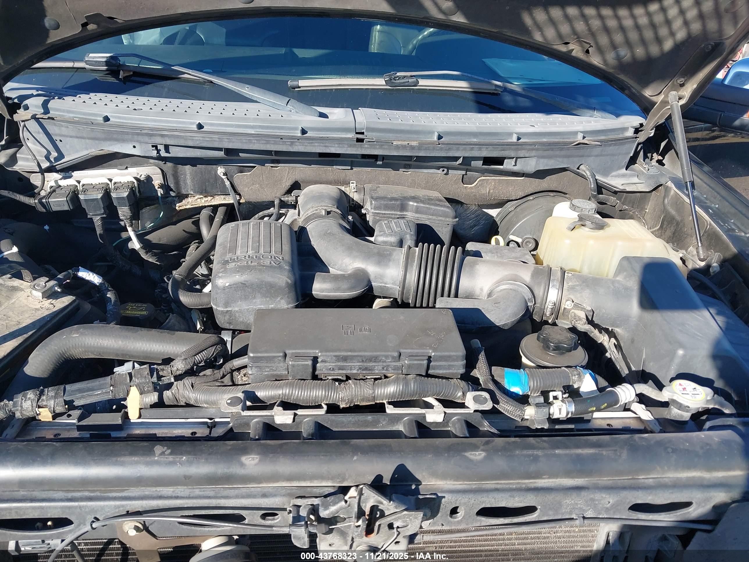 FORD F-150 image 10