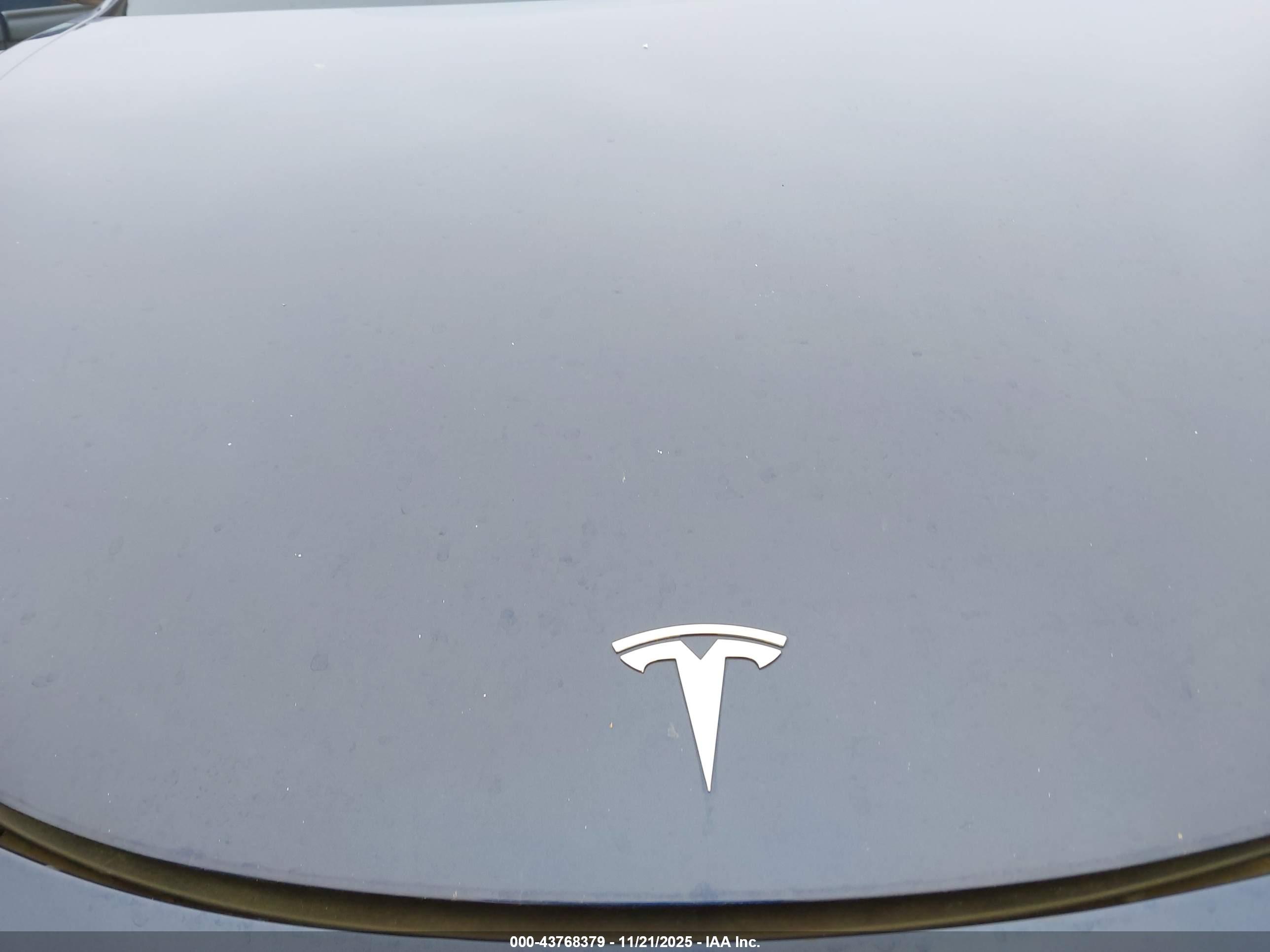 TESLA MODEL image 10