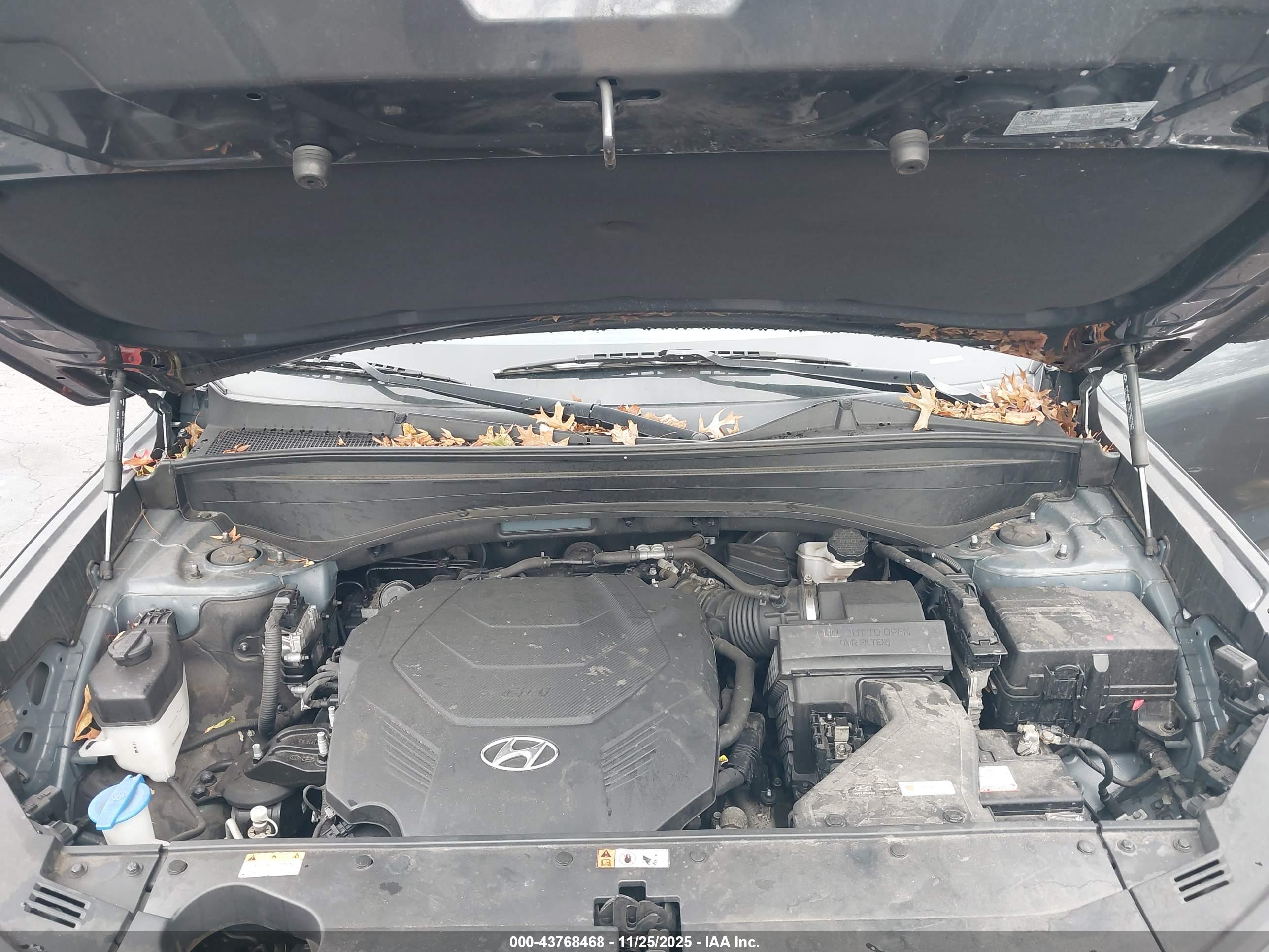 HYUNDAI PALISADE image 10