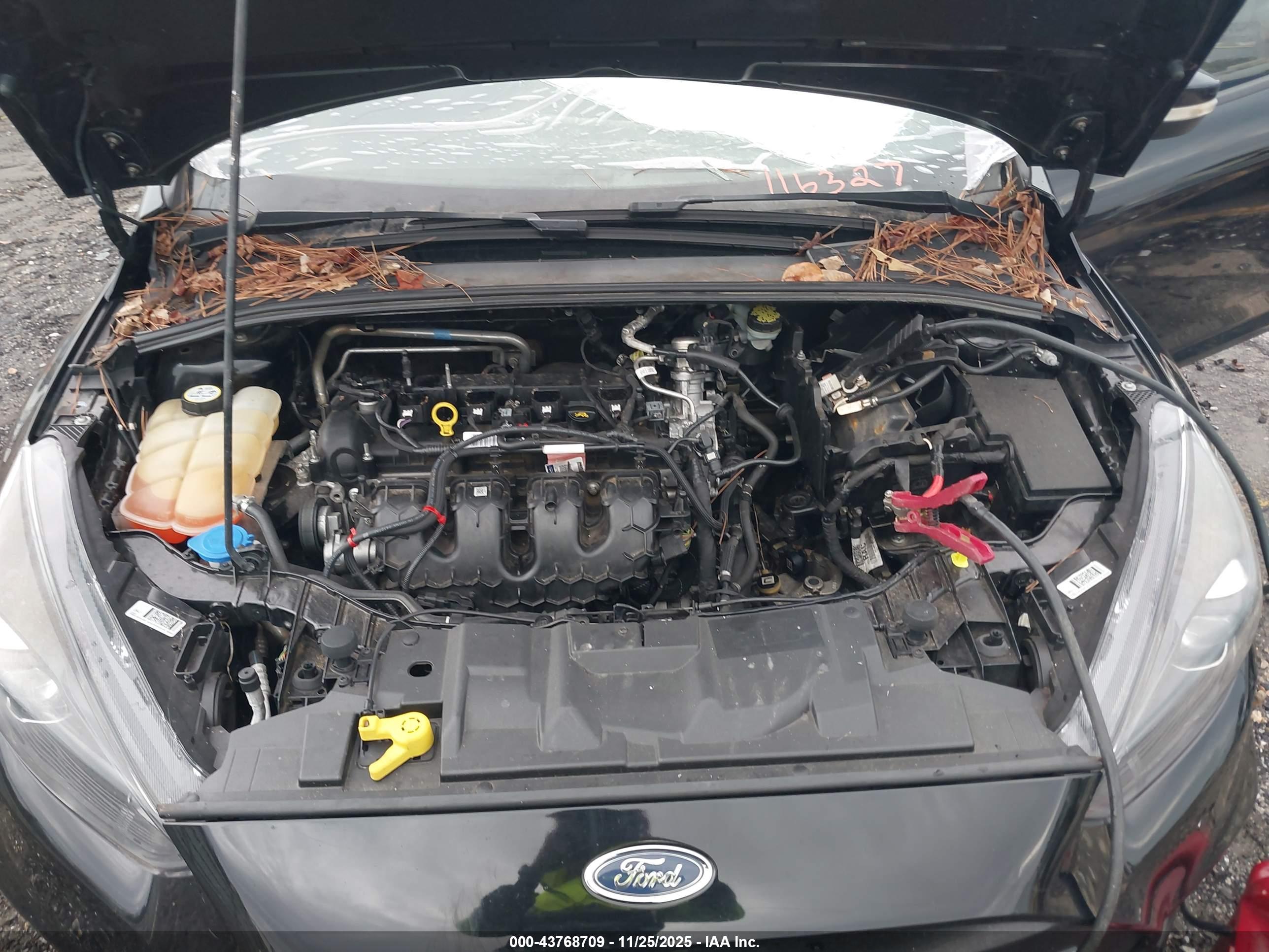 FORD FOCUS image 10