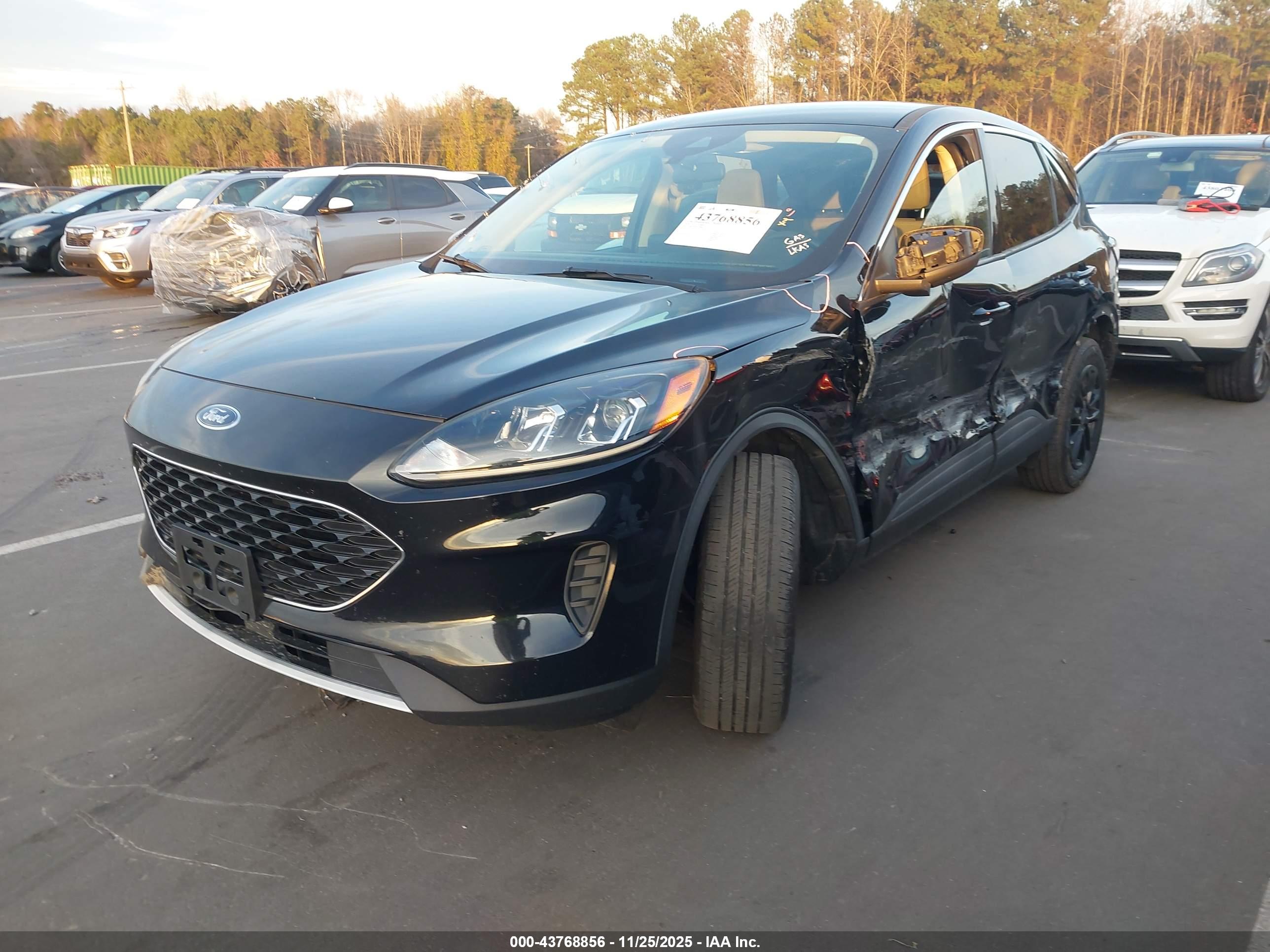 FORD ESCAPE image 2