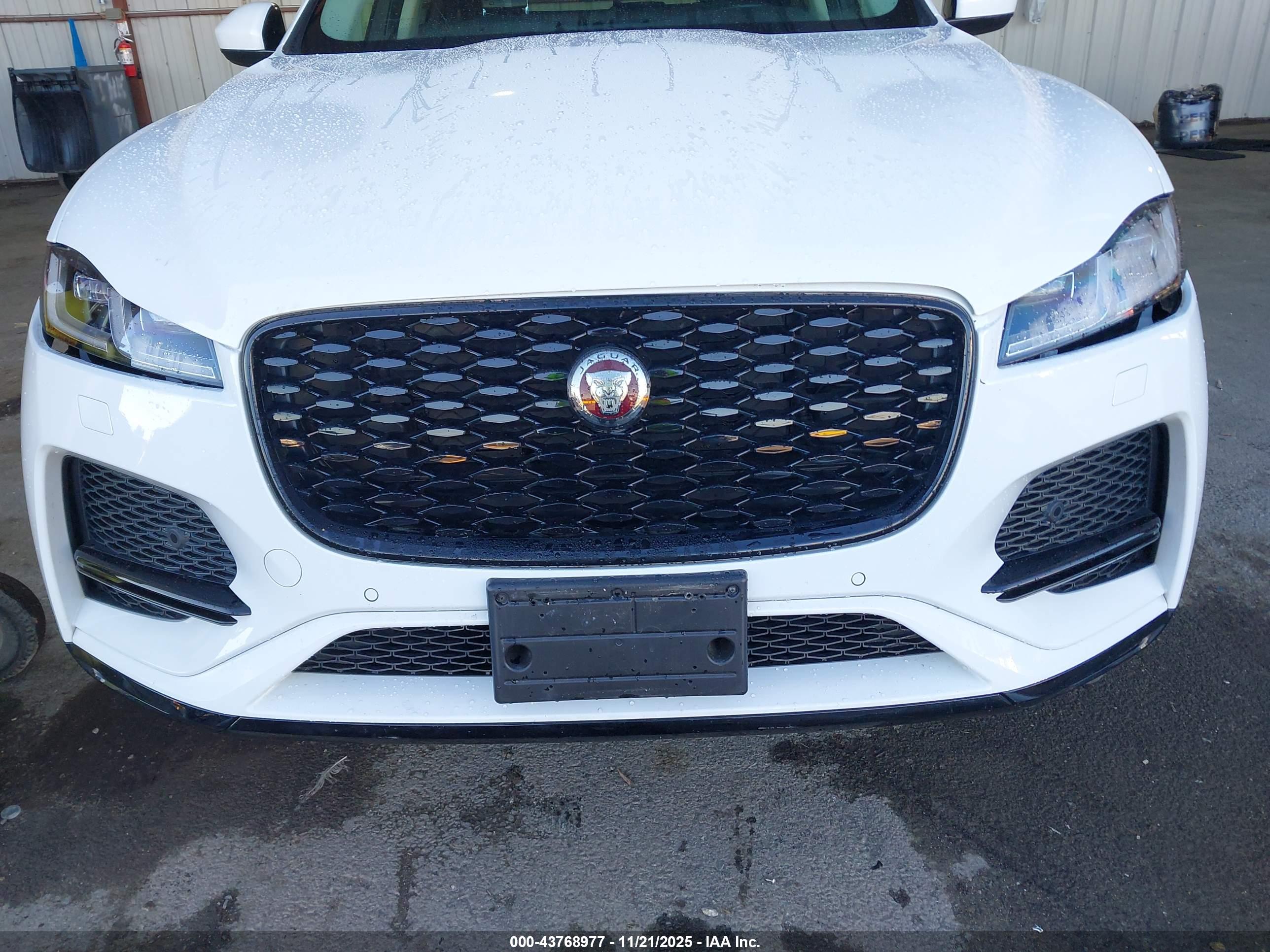 JAGUAR F-PACE image 6