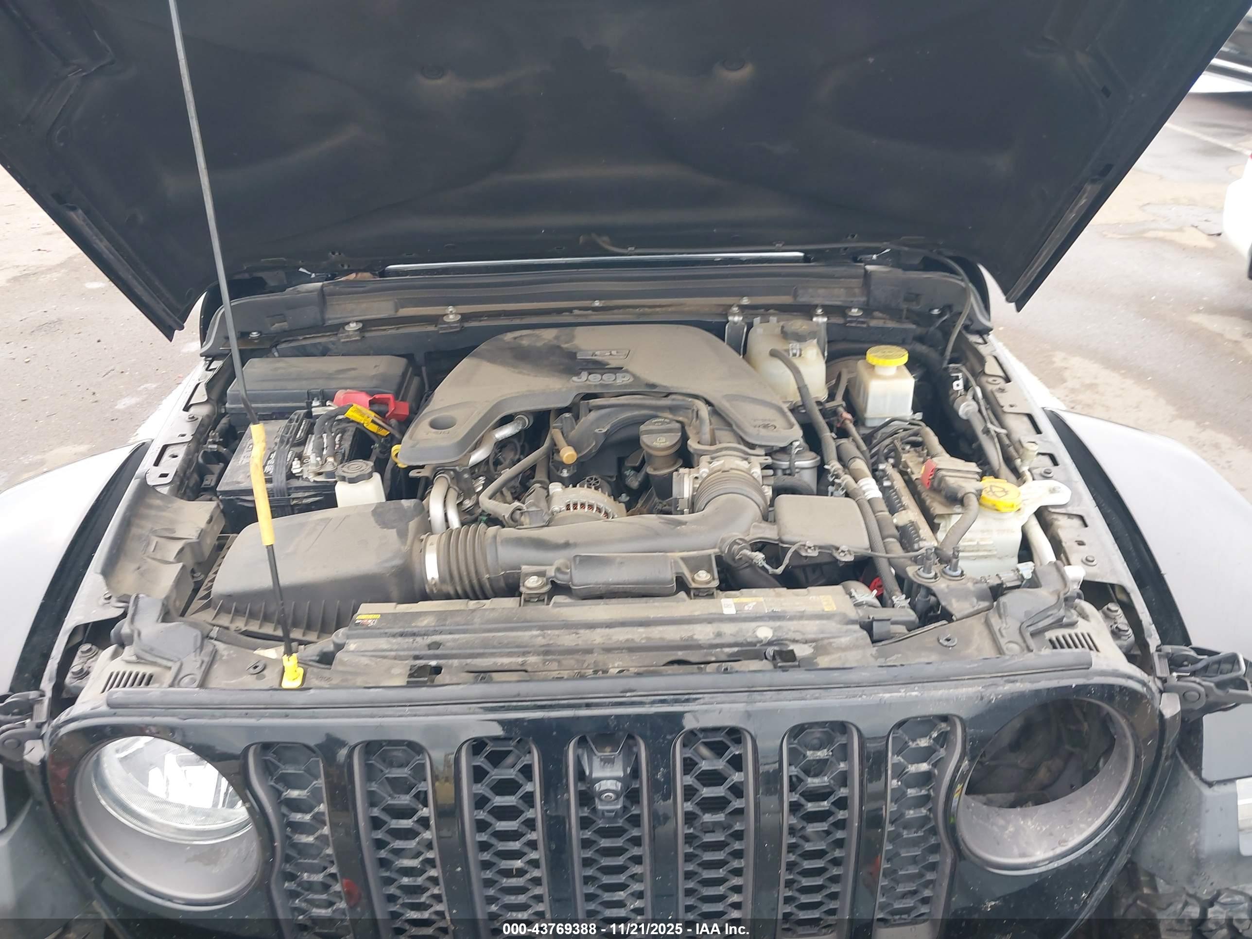 JEEP GLADIATOR image 10