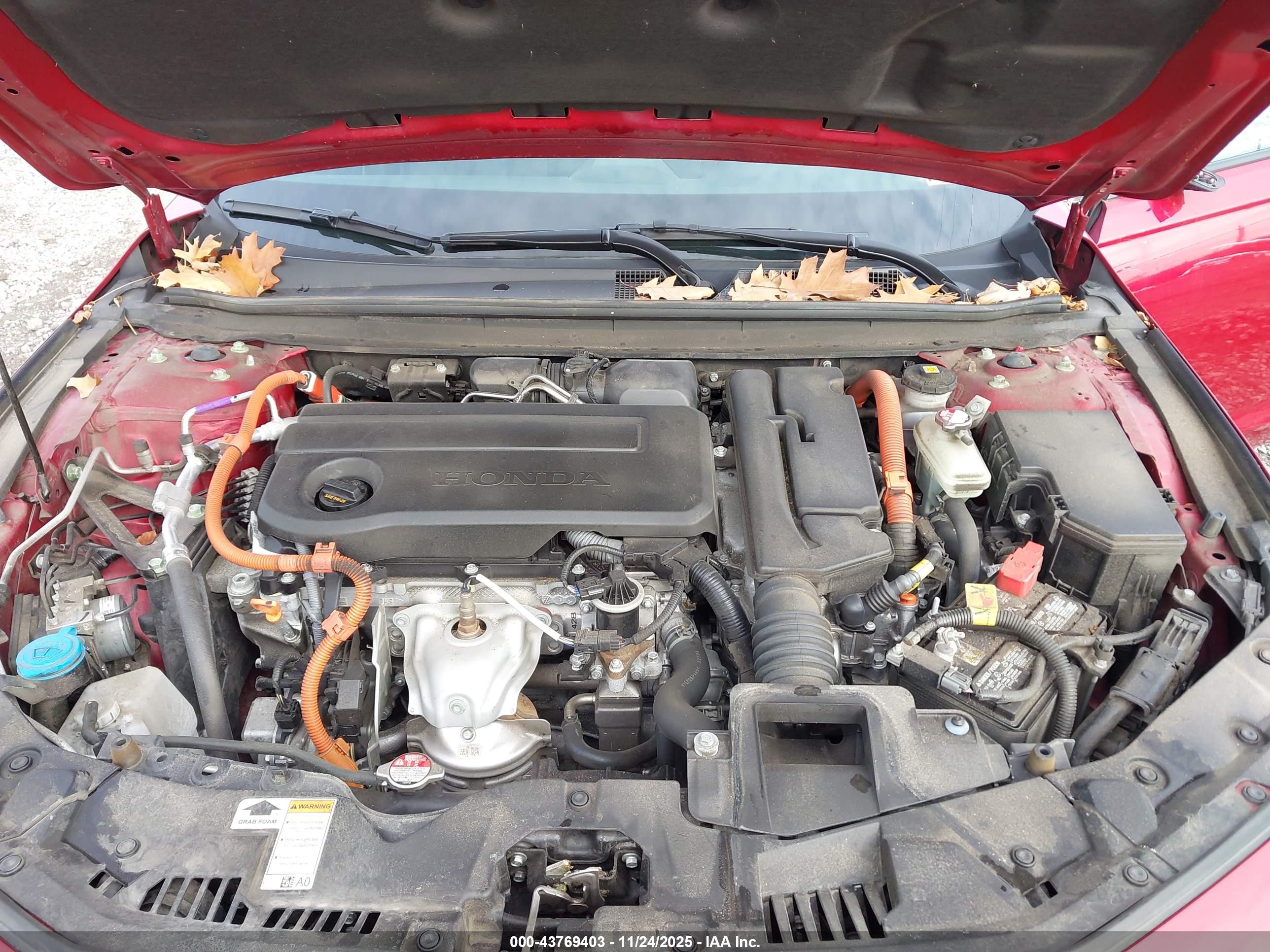 HONDA ACCORD image 10