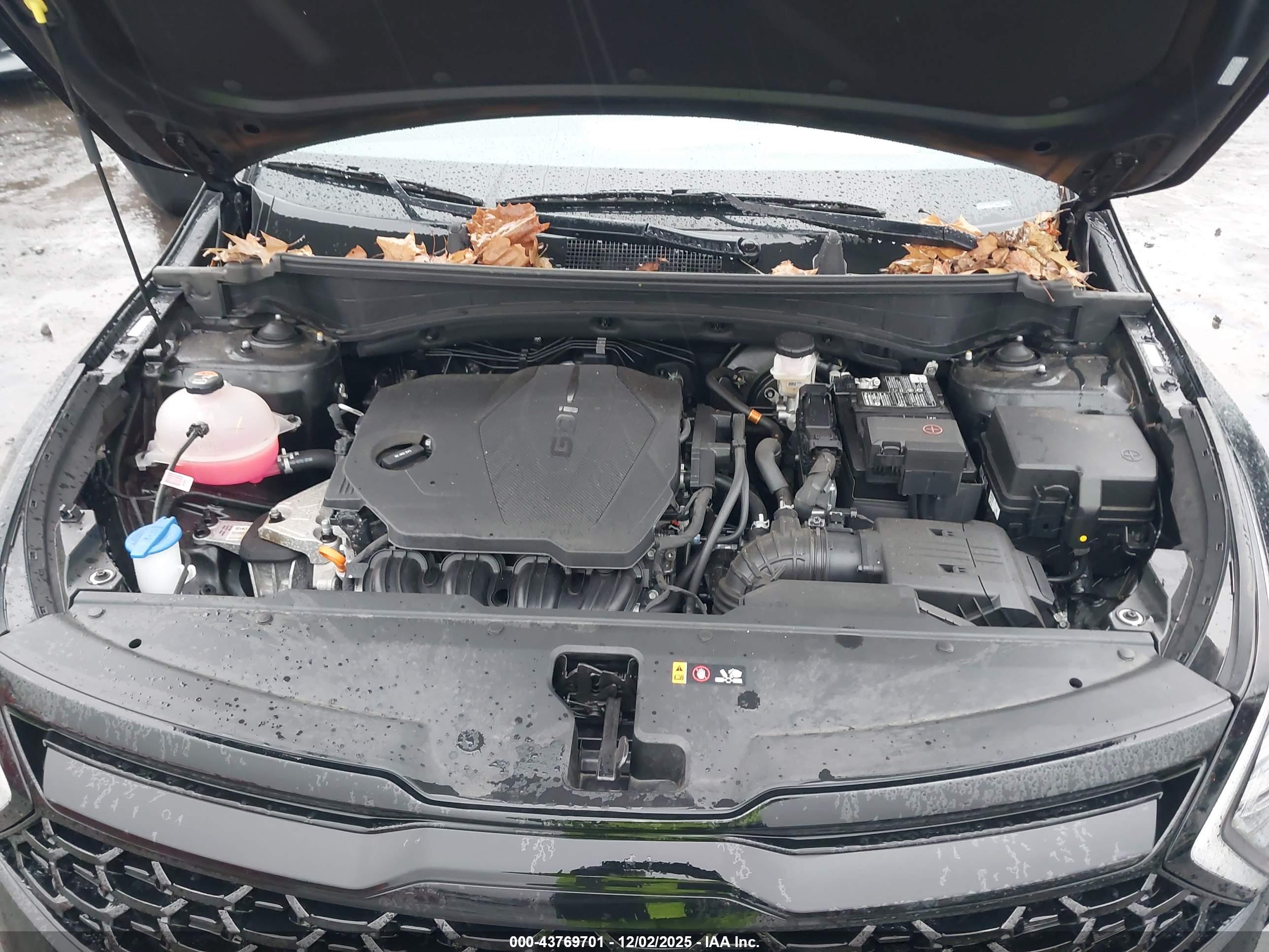 KIA SPORTAGE image 10
