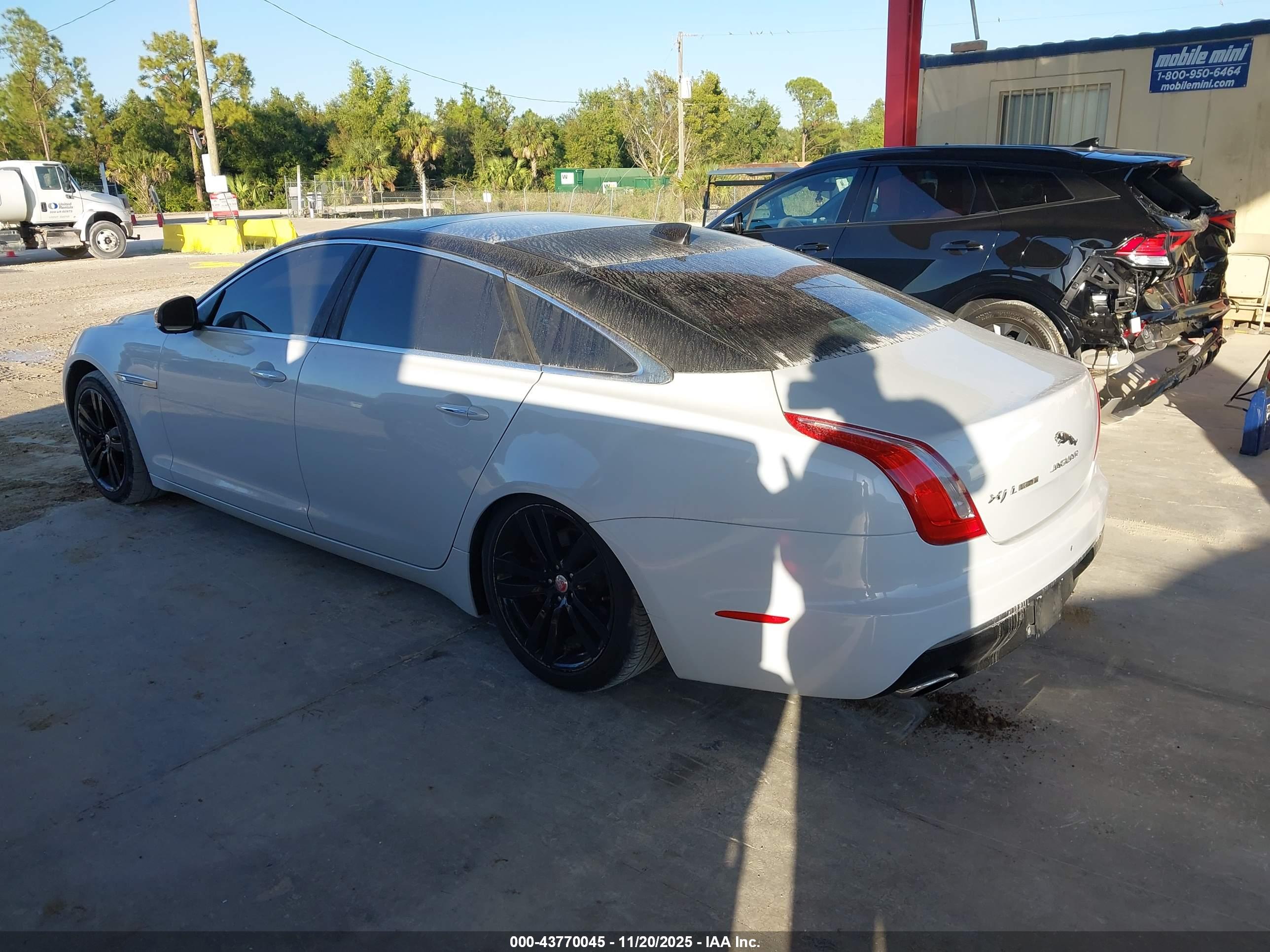 JAGUAR XJ image 3