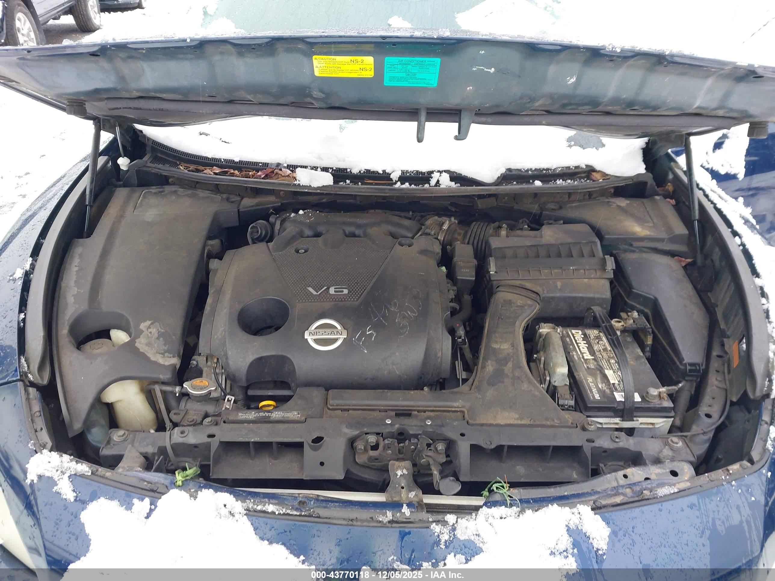 NISSAN MAXIMA image 10