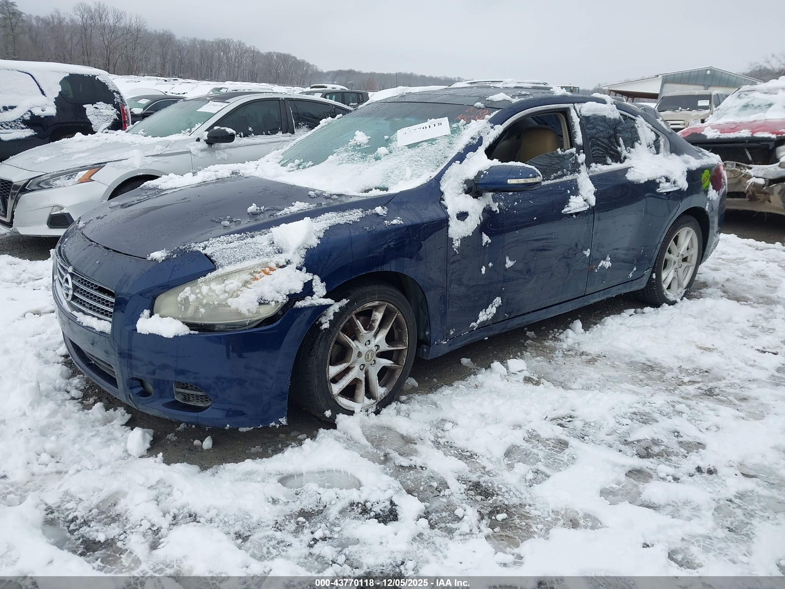 NISSAN MAXIMA image 2