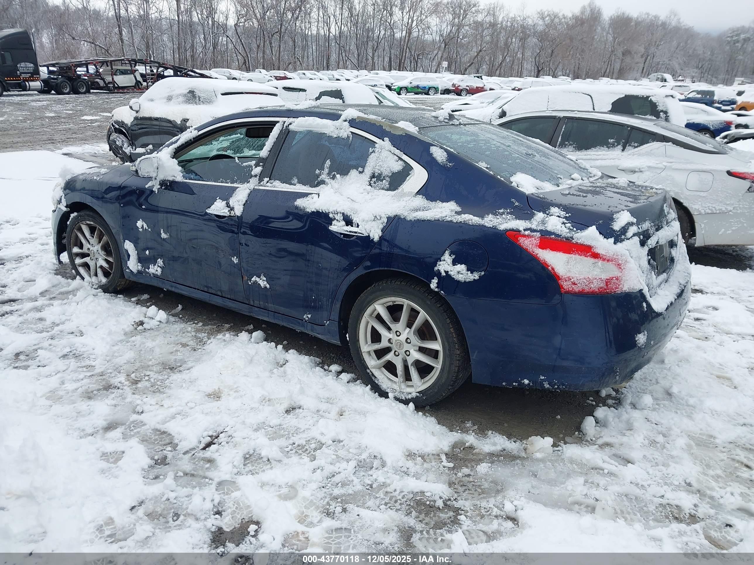 NISSAN MAXIMA image 3