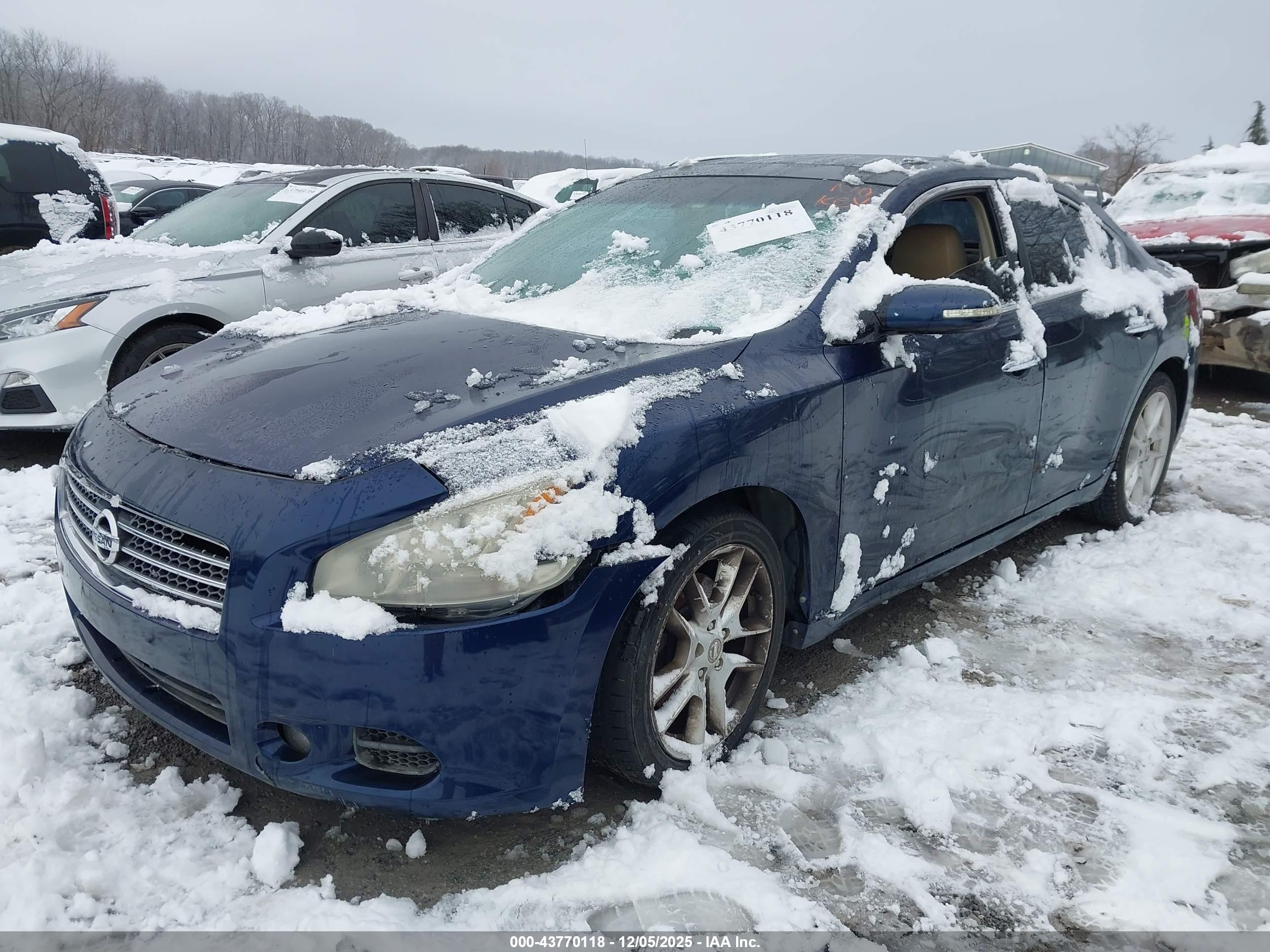 NISSAN MAXIMA image 6