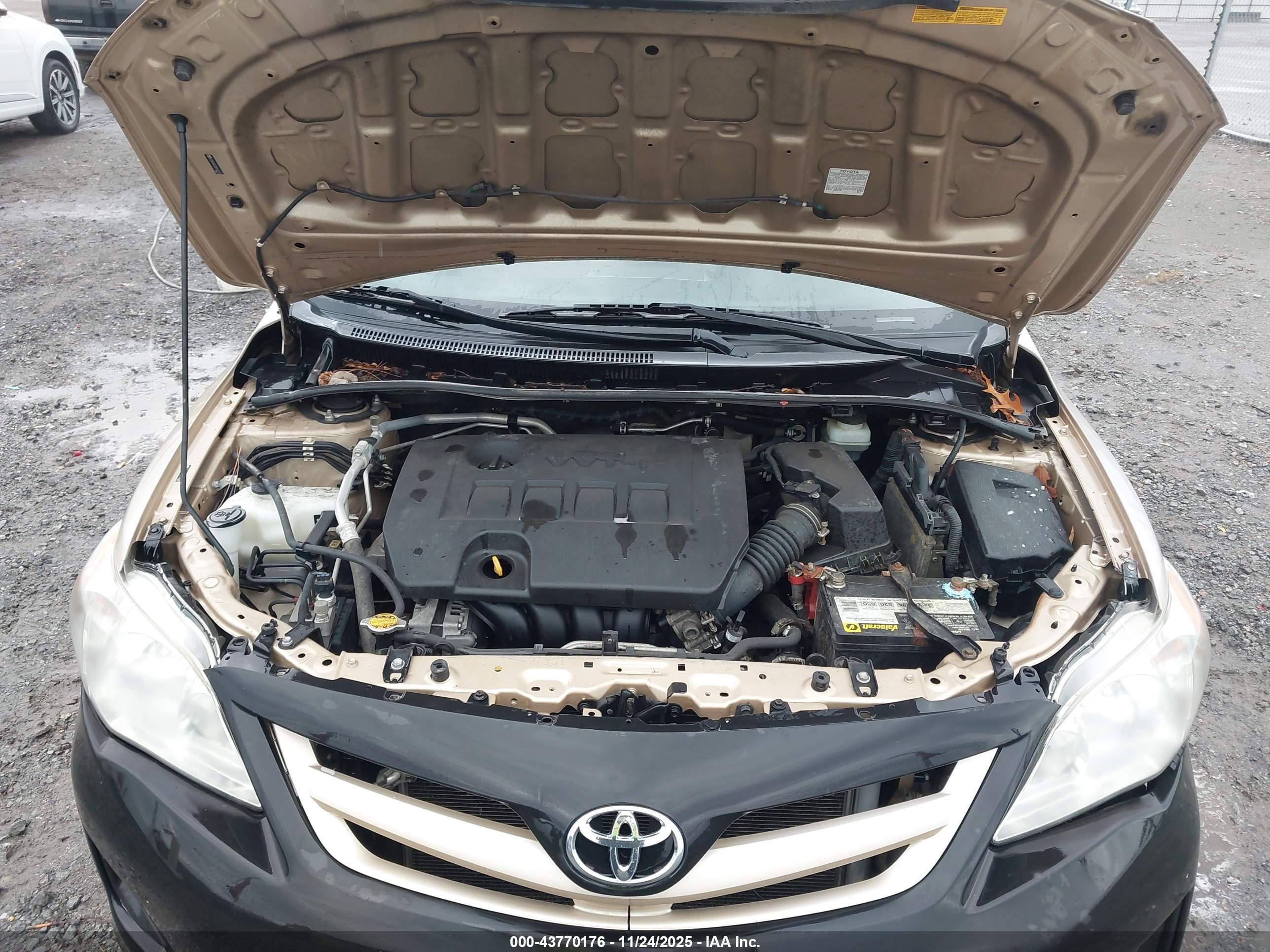TOYOTA COROLLA image 10