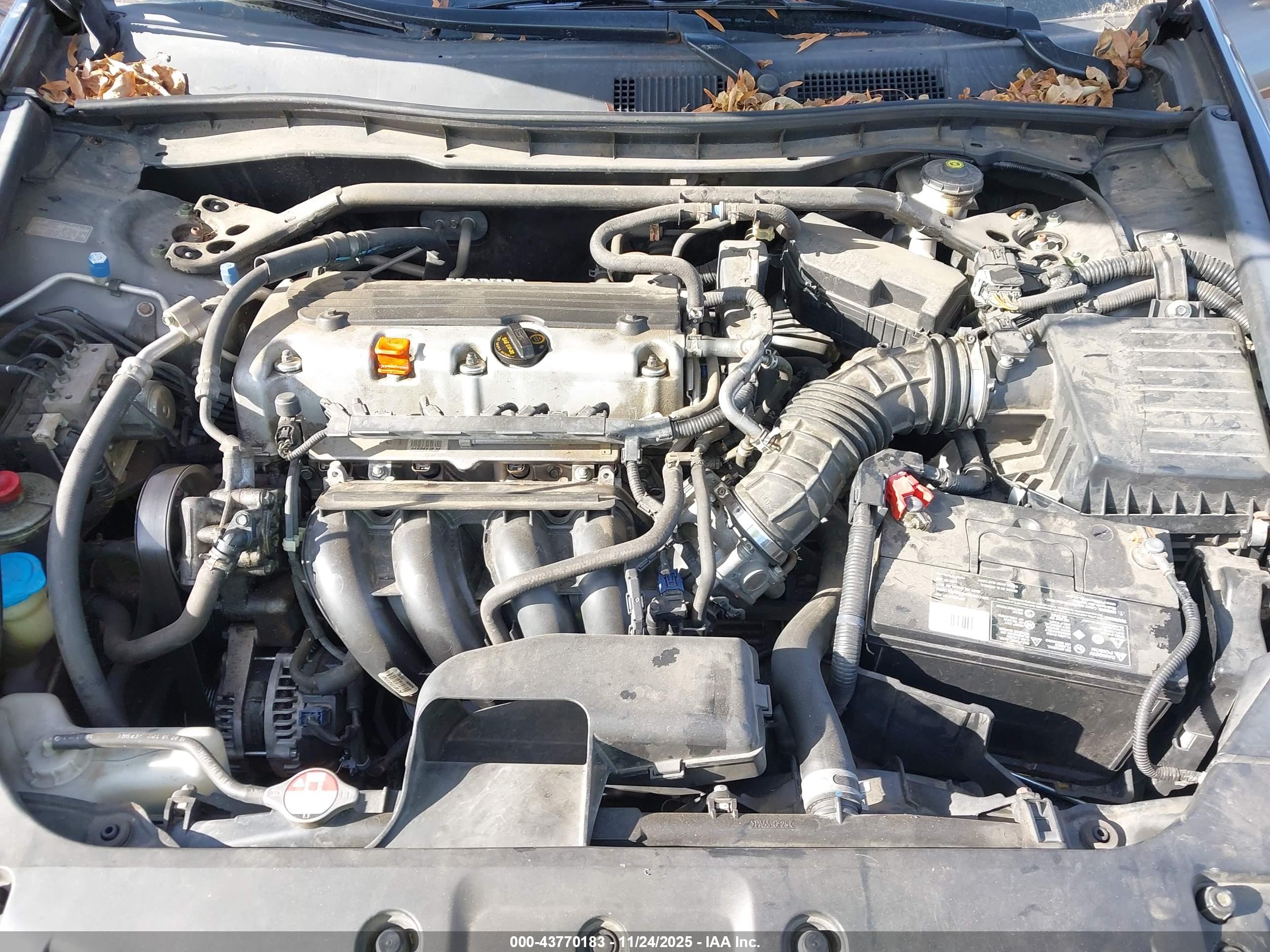 HONDA ACCORD image 10