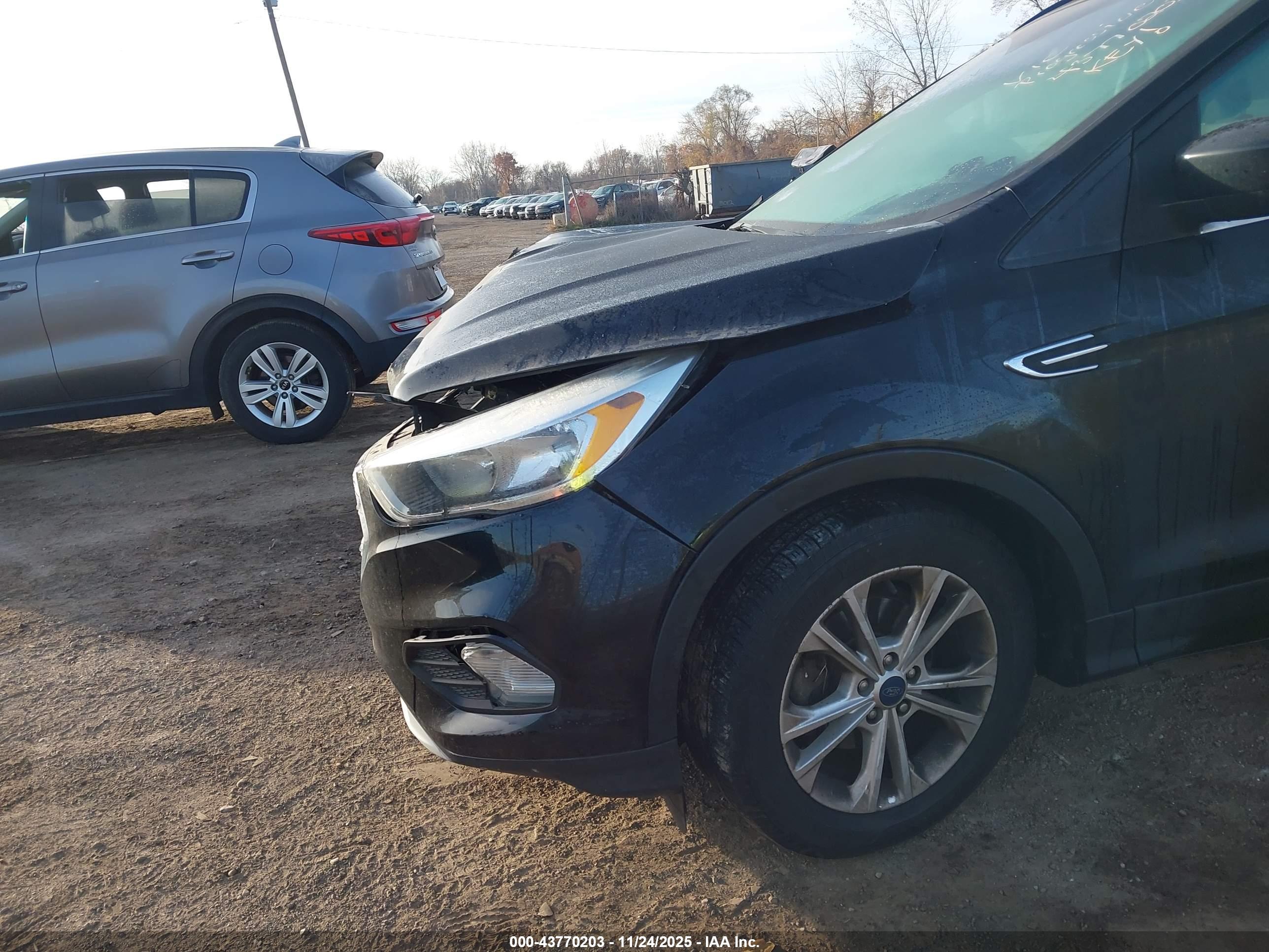 FORD ESCAPE image 6
