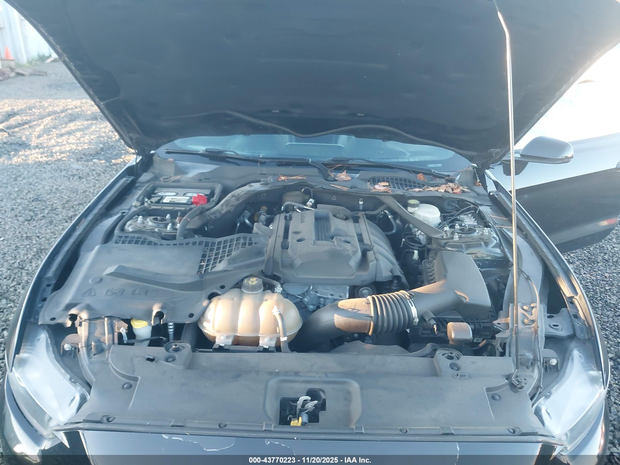 FORD MUSTANG image 10
