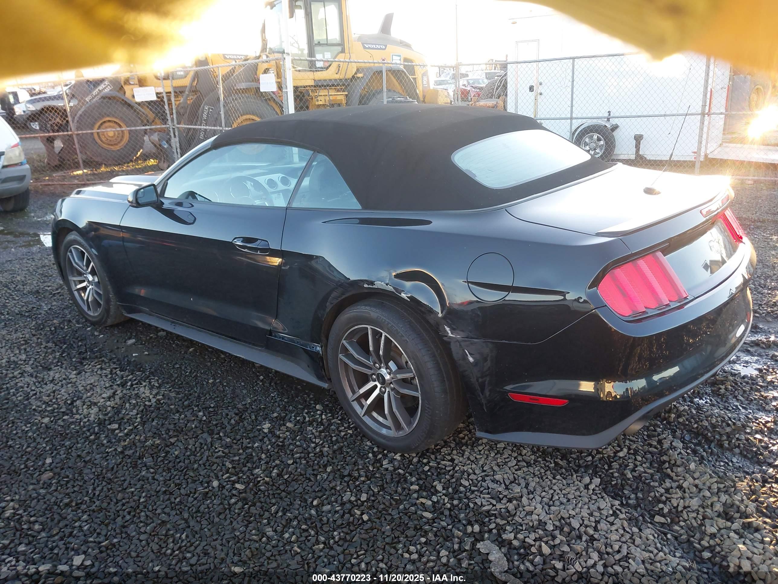 FORD MUSTANG image 3