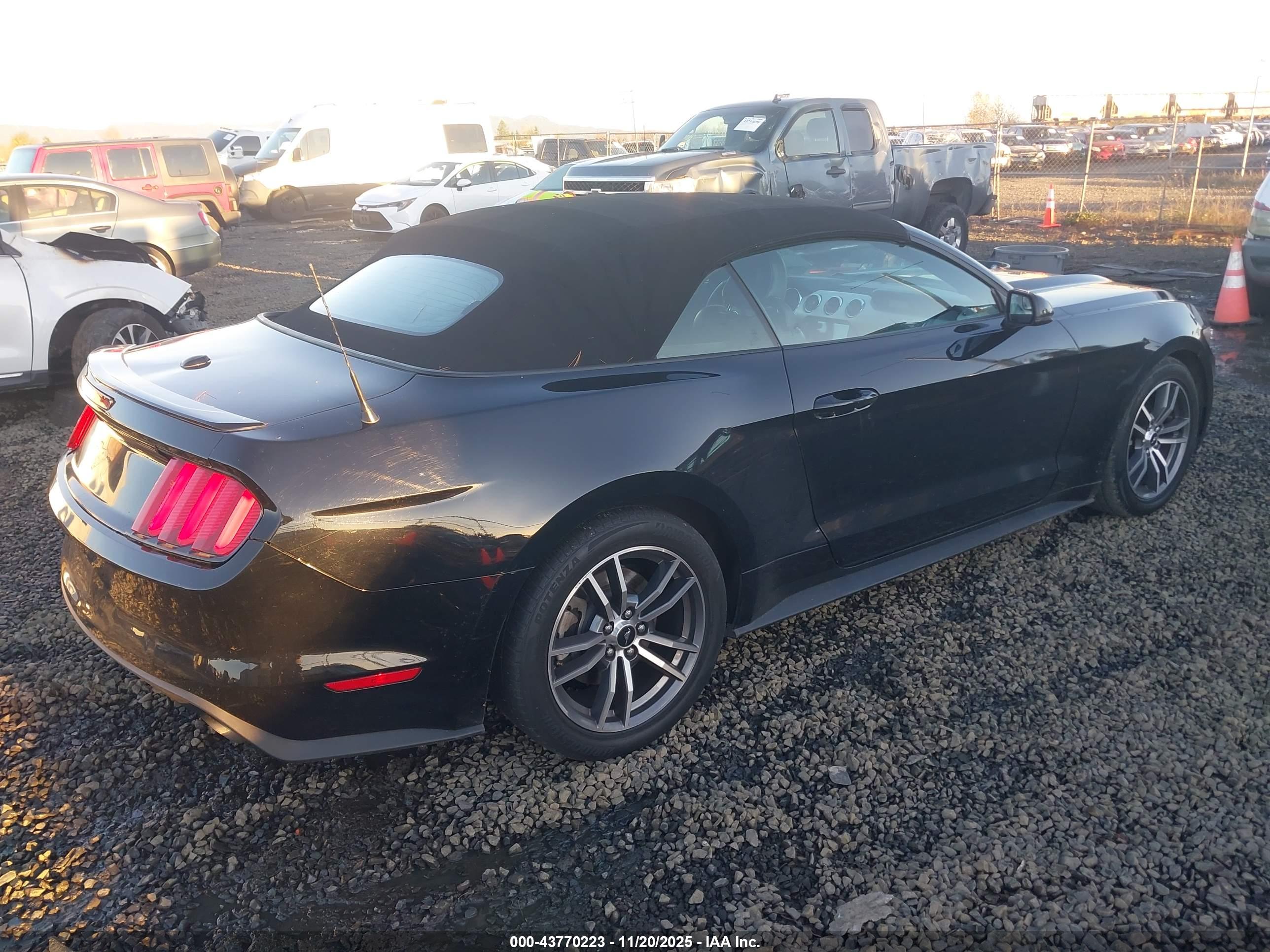 FORD MUSTANG image 4