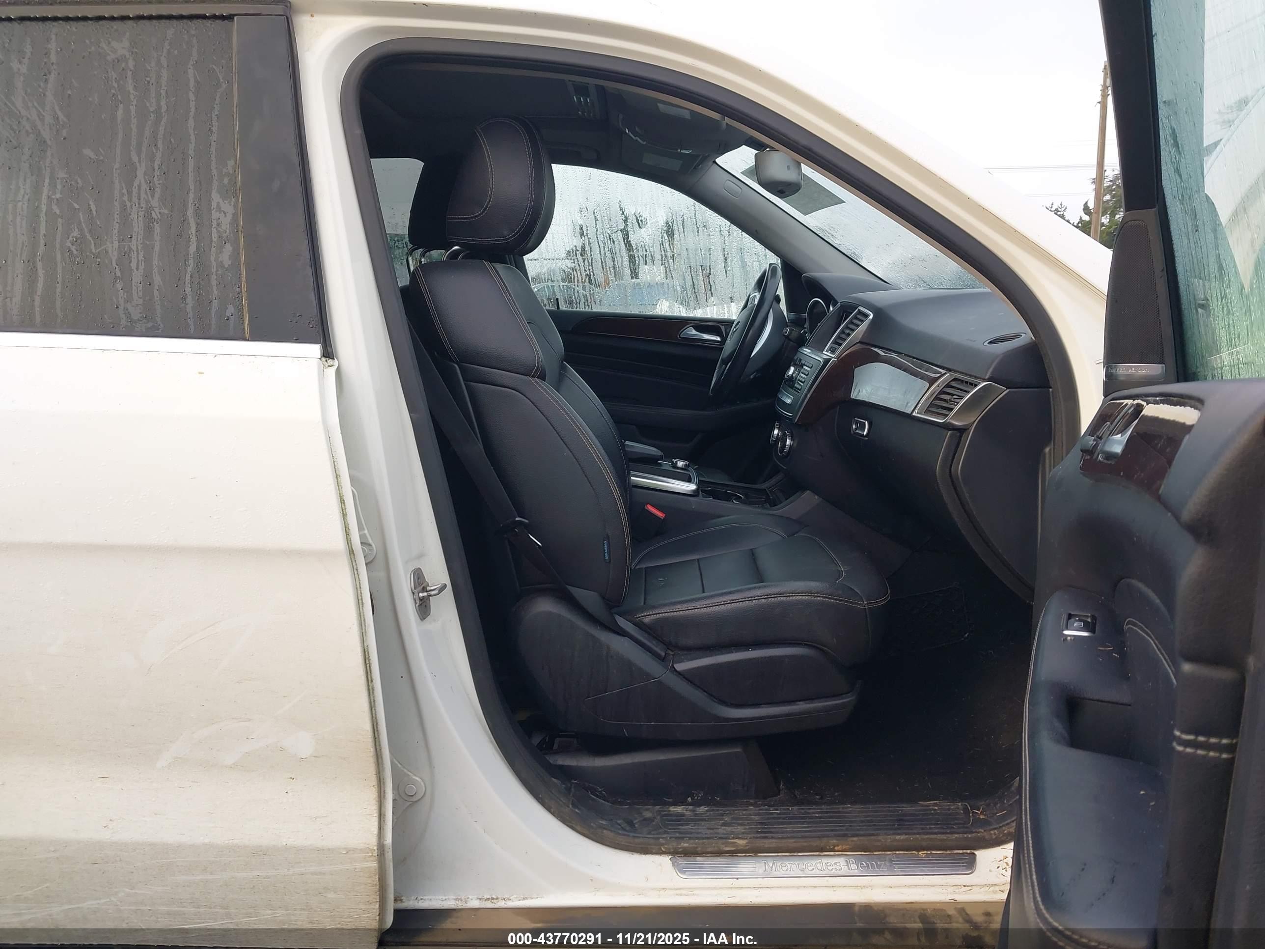 MERCEDES-BENZ ML image 5