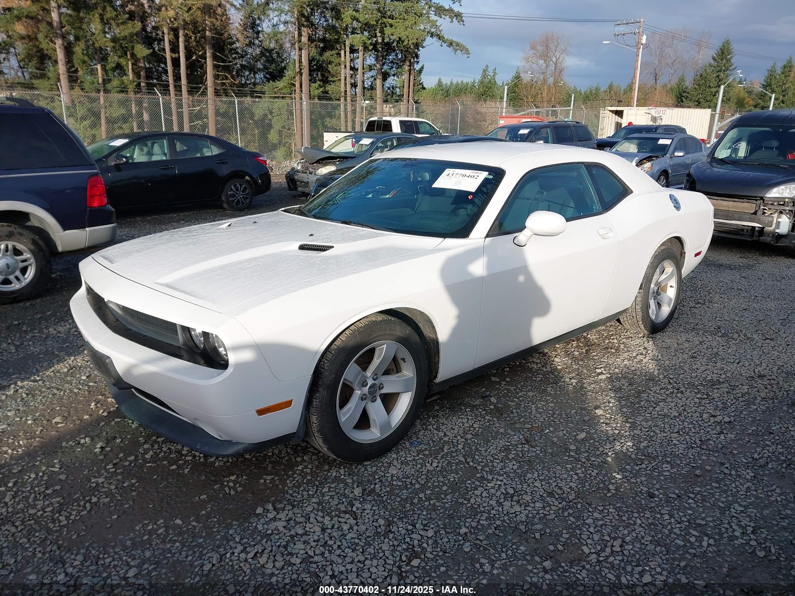 DODGE CHALLENGER image 2