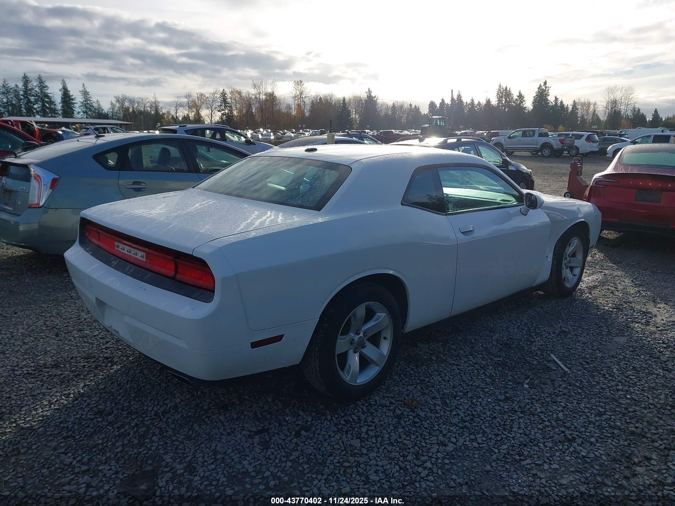DODGE CHALLENGER image 4