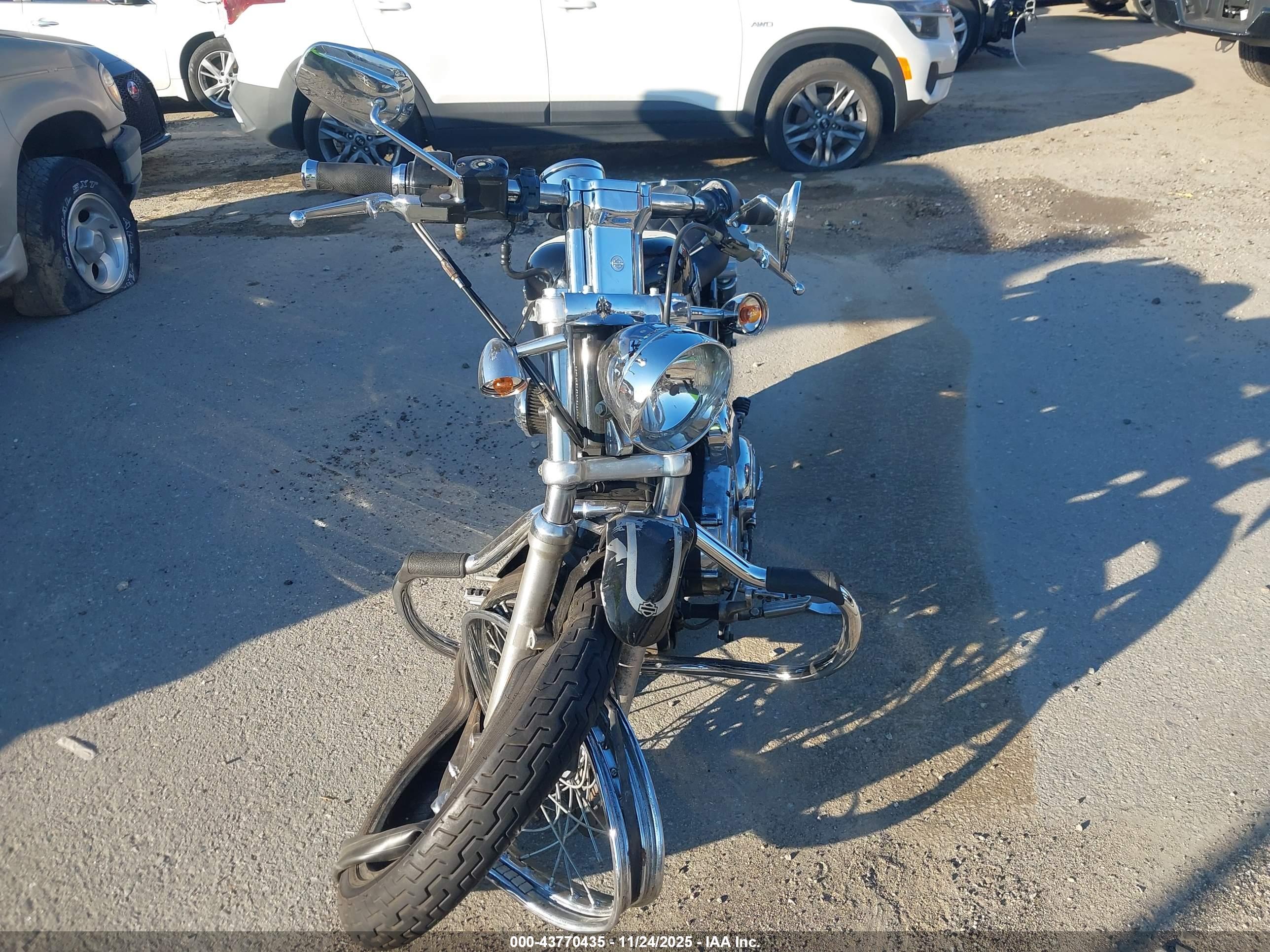 HARLEY-DAVIDSON XL1200 image 5