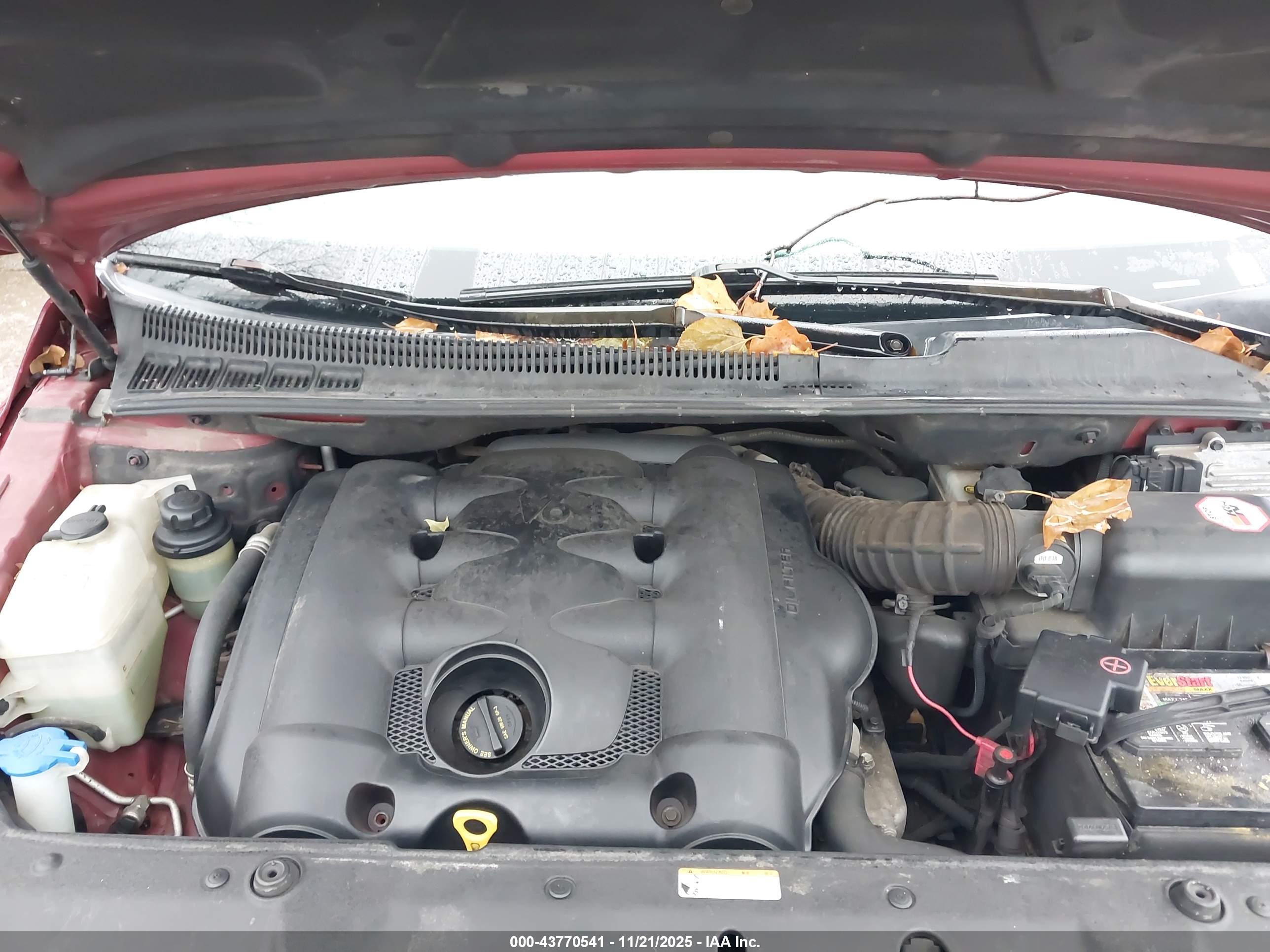 HYUNDAI ENTOURAGE image 10