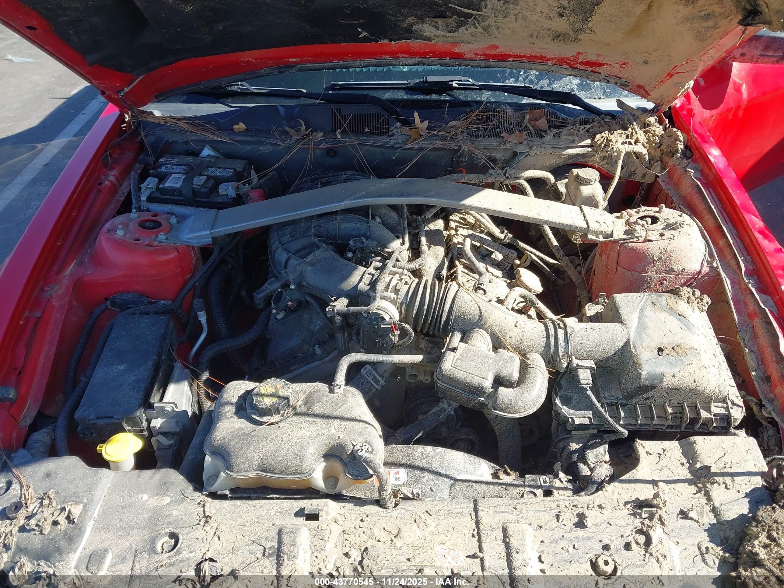 FORD MUSTANG image 10