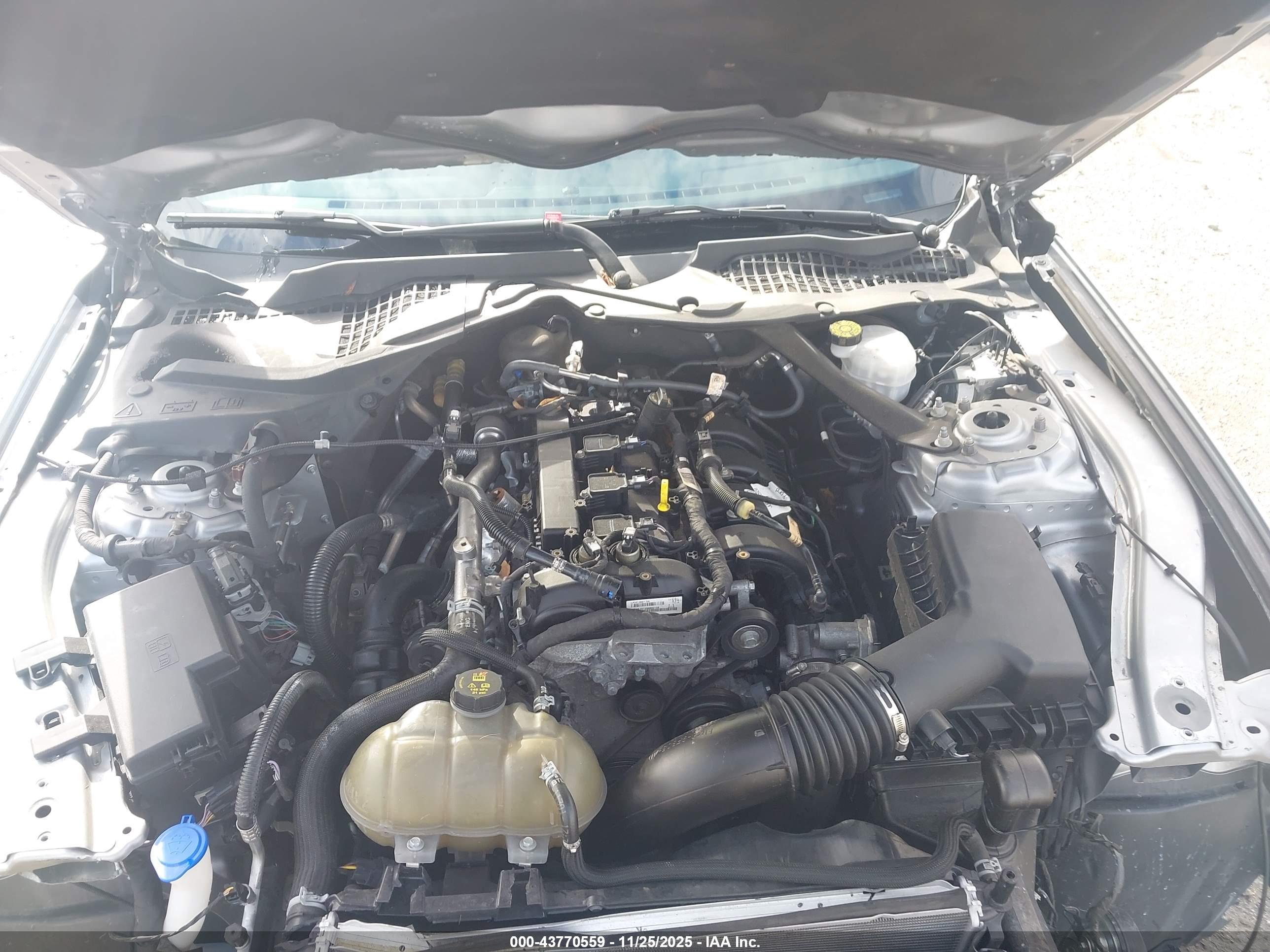 FORD MUSTANG image 10
