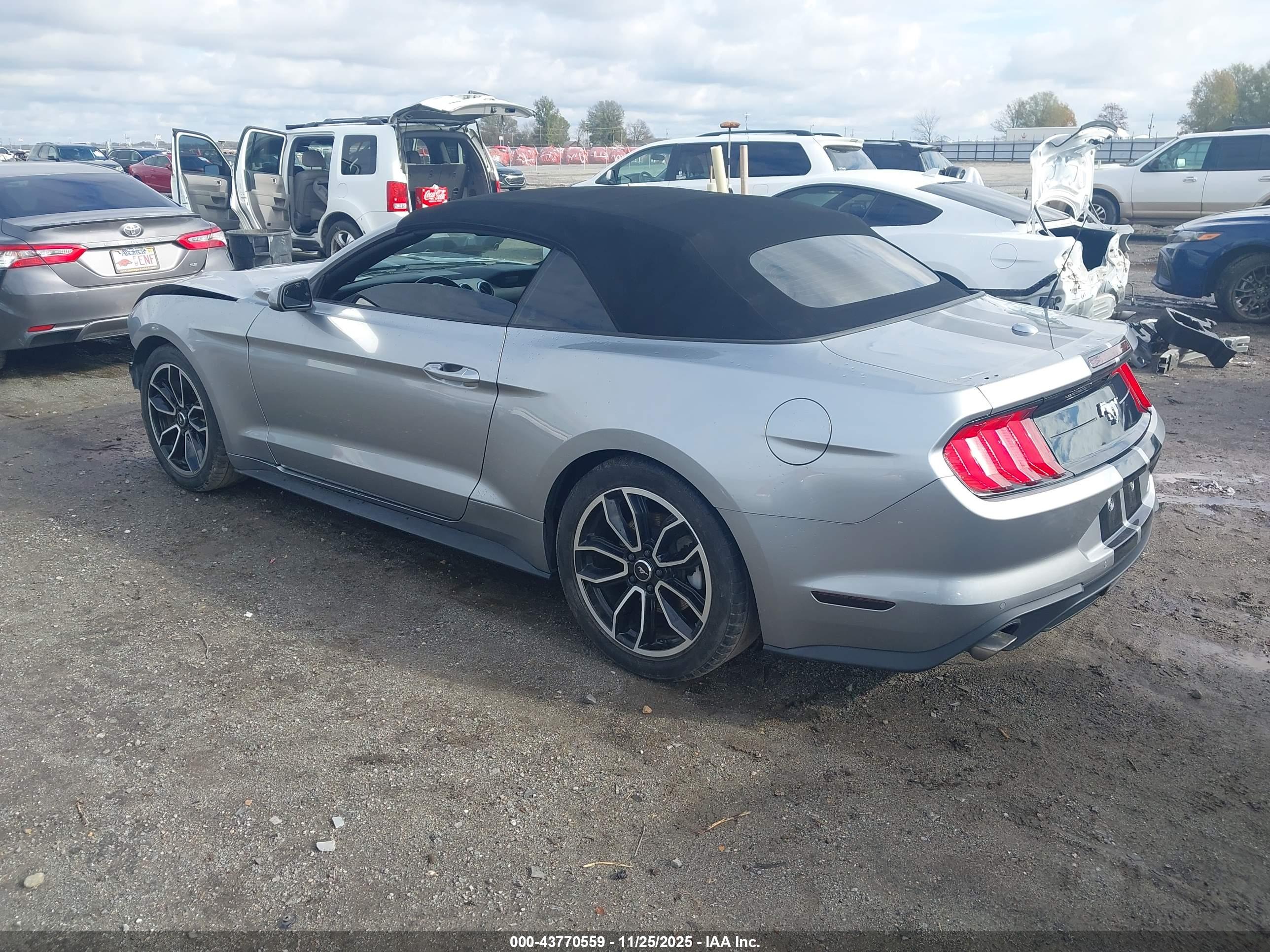 FORD MUSTANG image 3