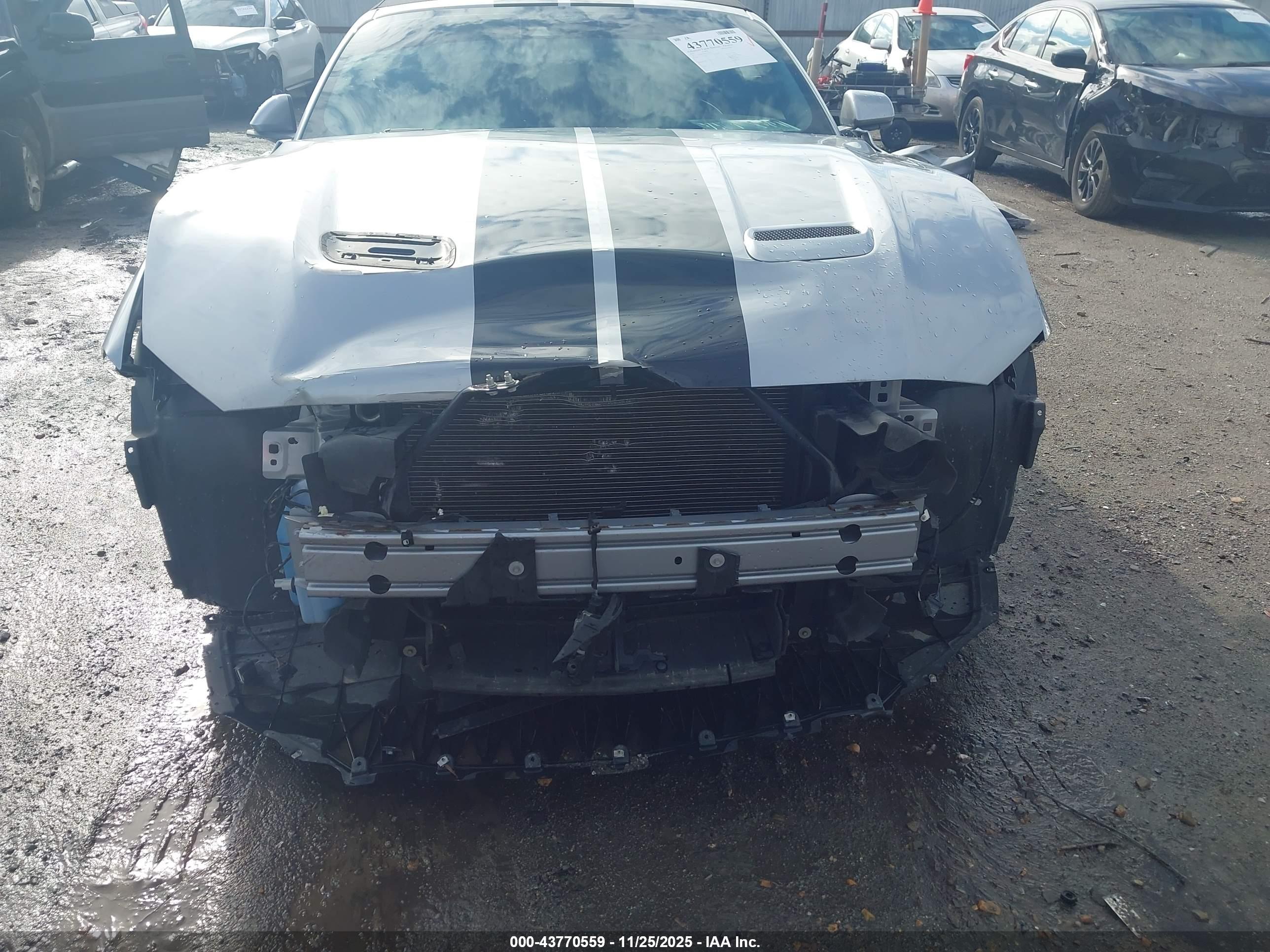 FORD MUSTANG image 6