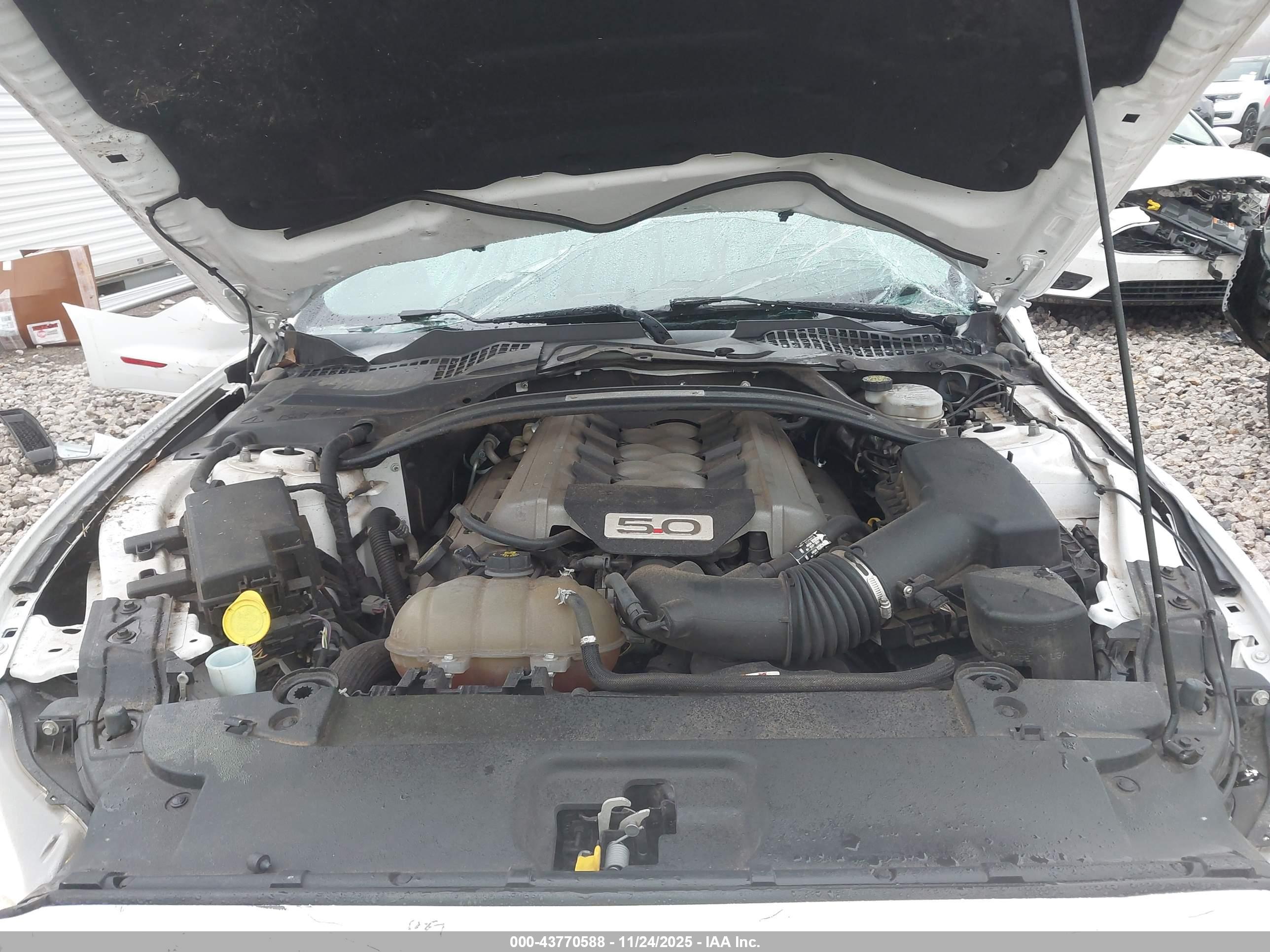 FORD MUSTANG image 10