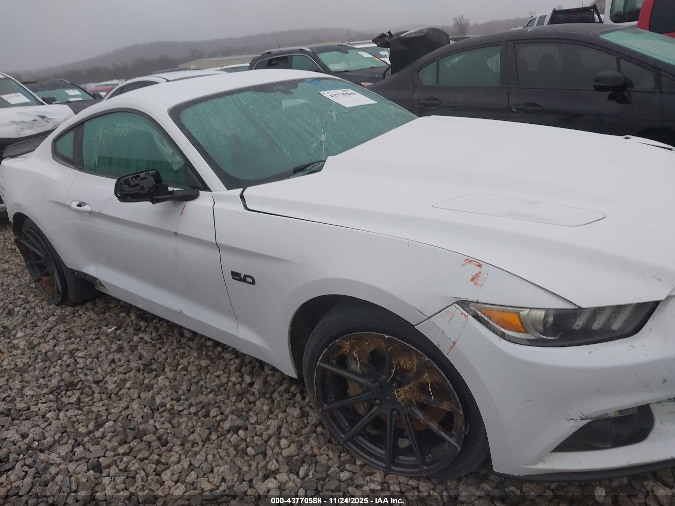 FORD MUSTANG image 6
