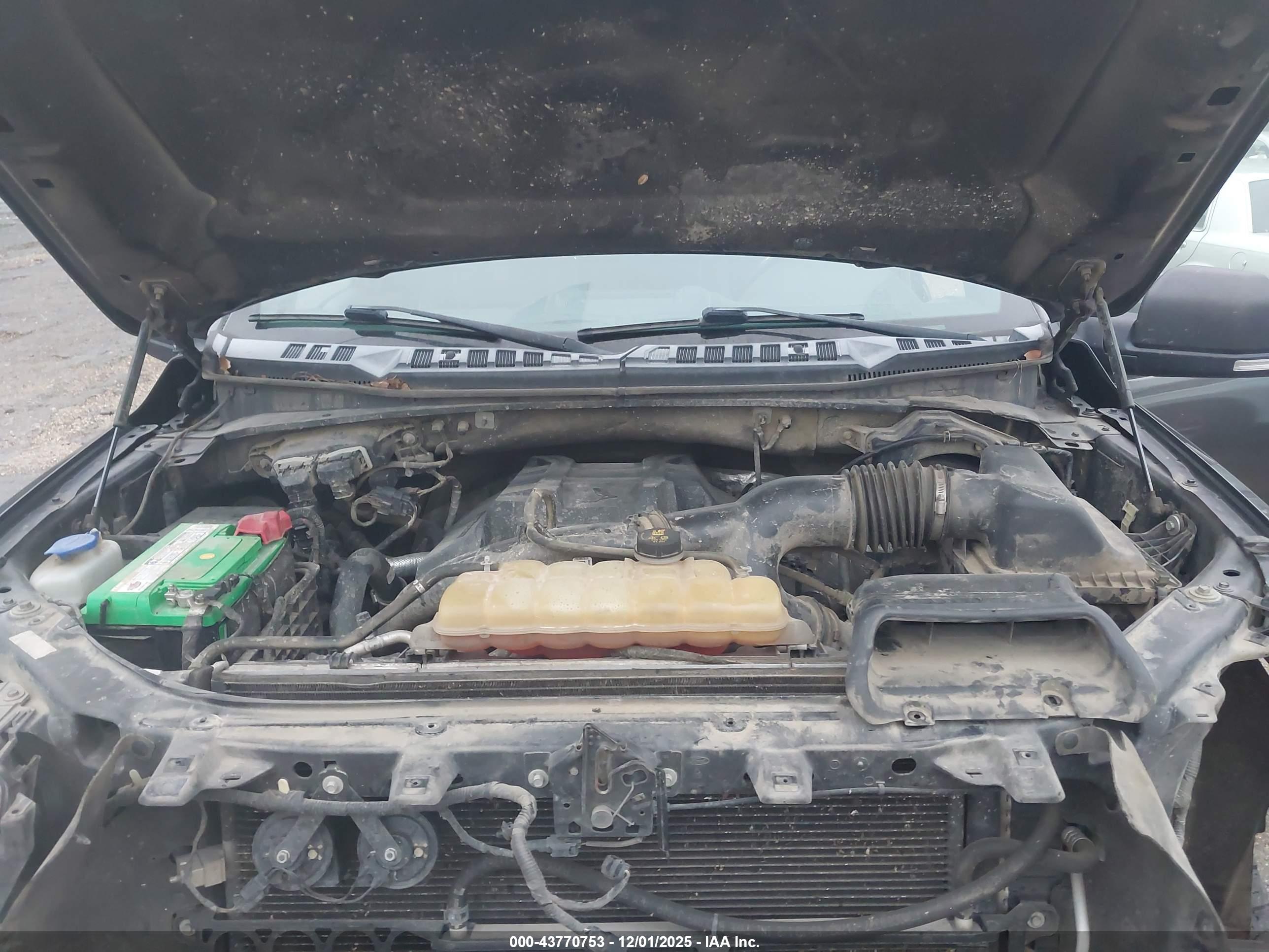 FORD F-150 image 10