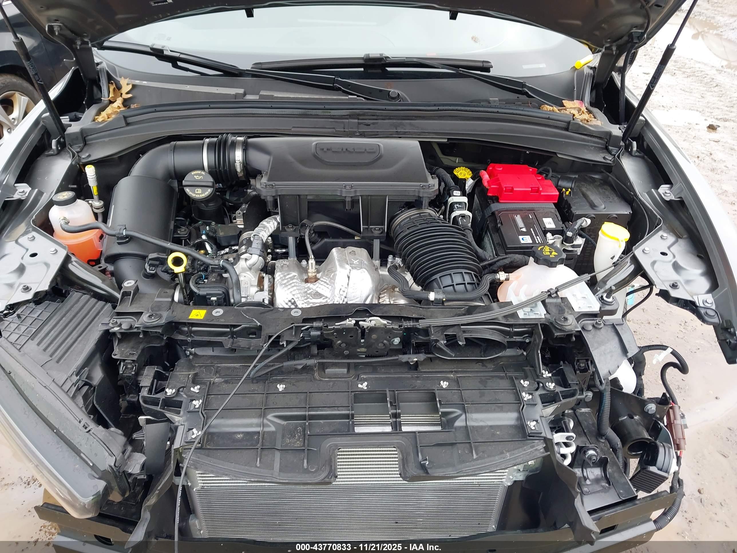 DODGE HORNET image 10