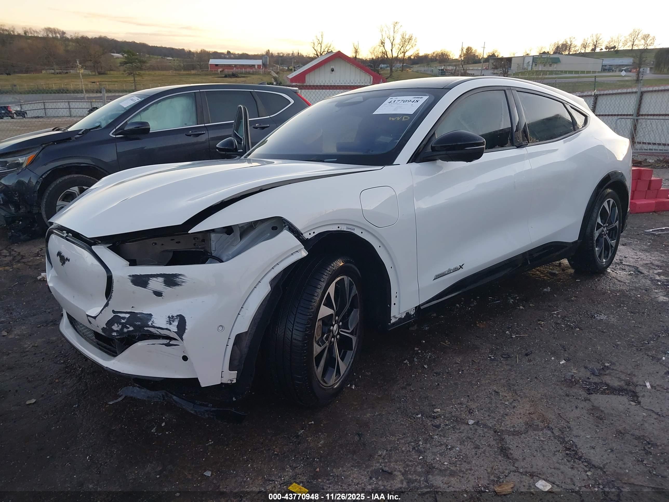 FORD MUSTANG image 2