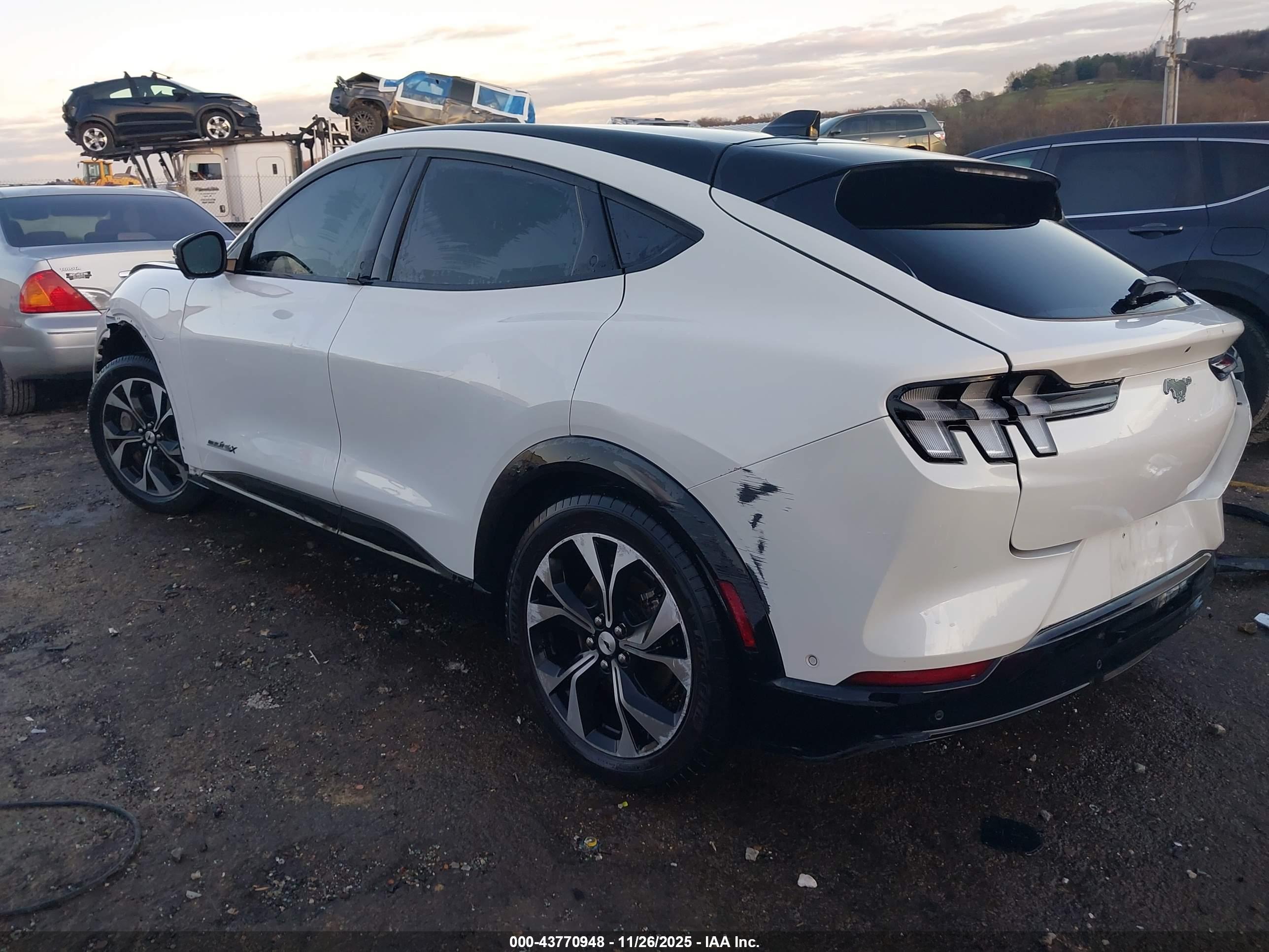 FORD MUSTANG image 3