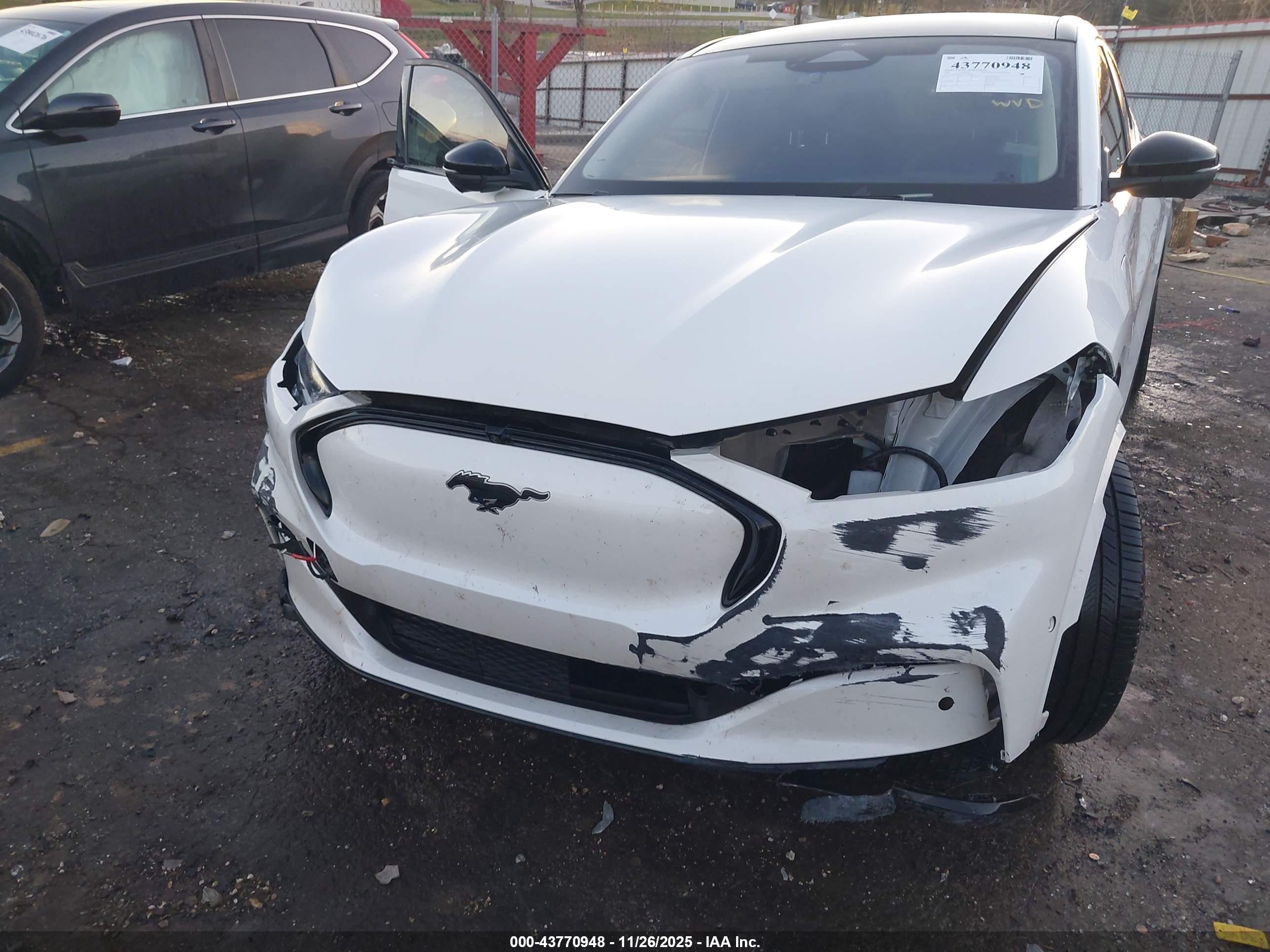 FORD MUSTANG image 6