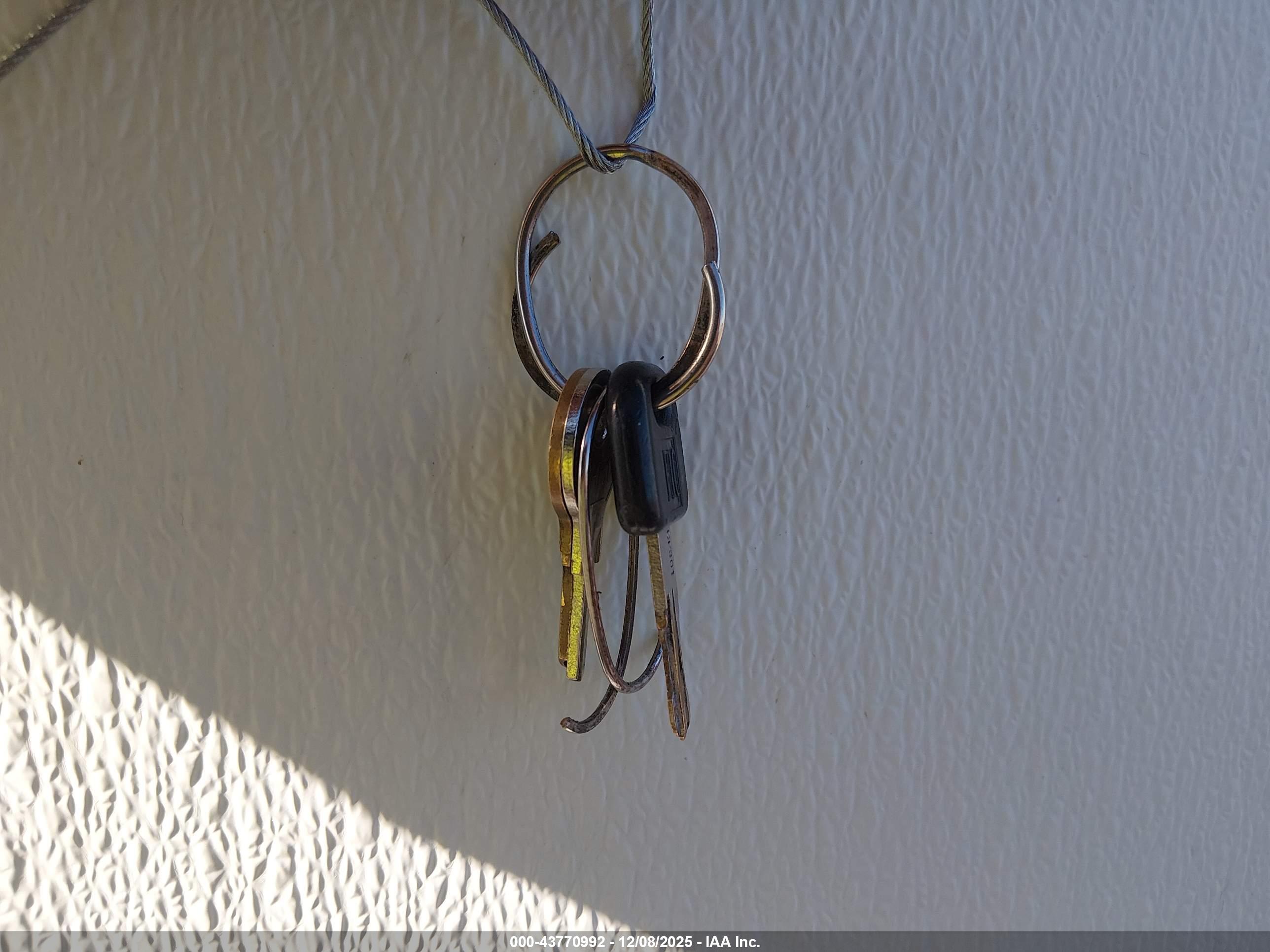 TAHOE LITE image 11