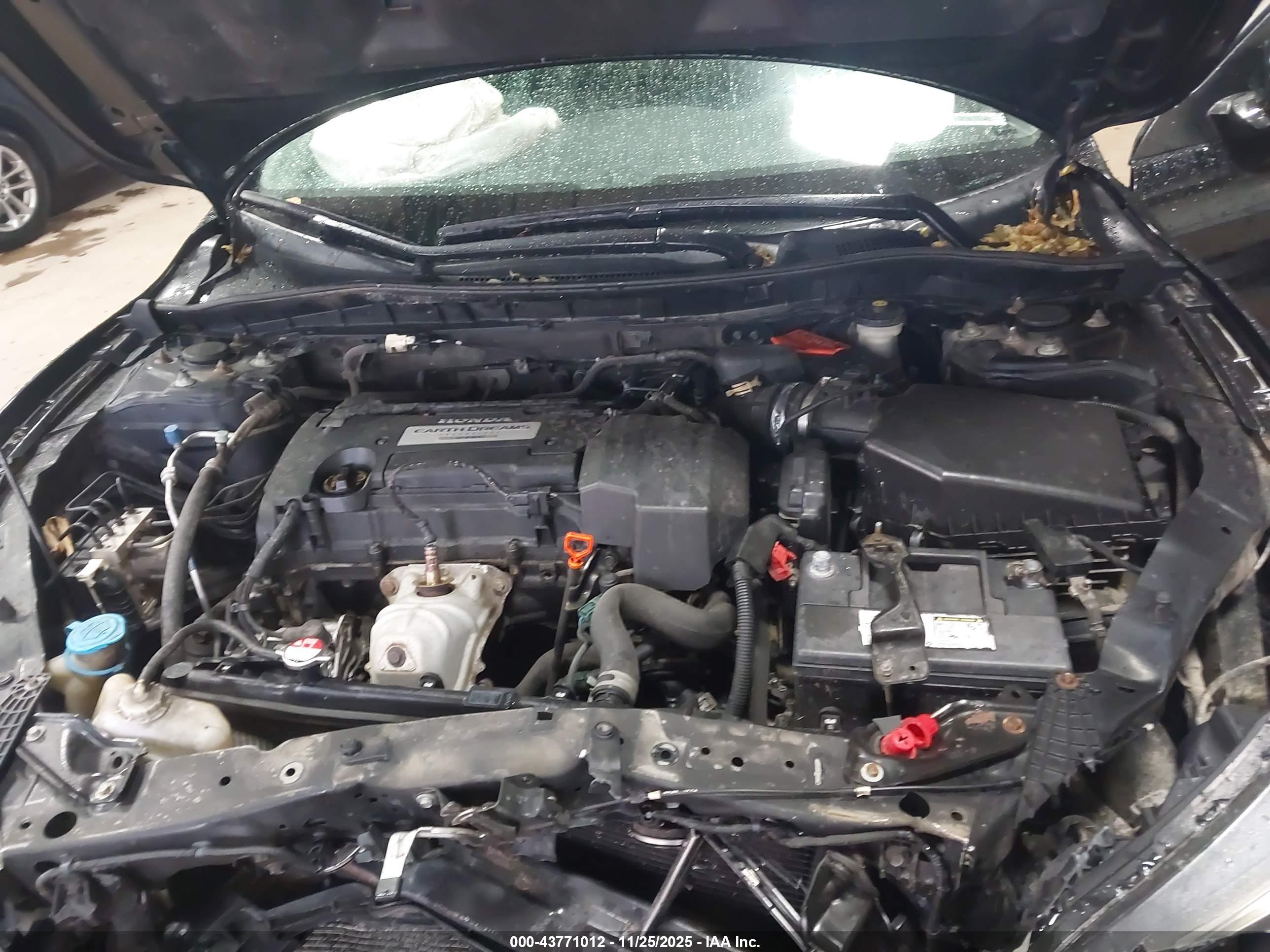 HONDA ACCORD image 10