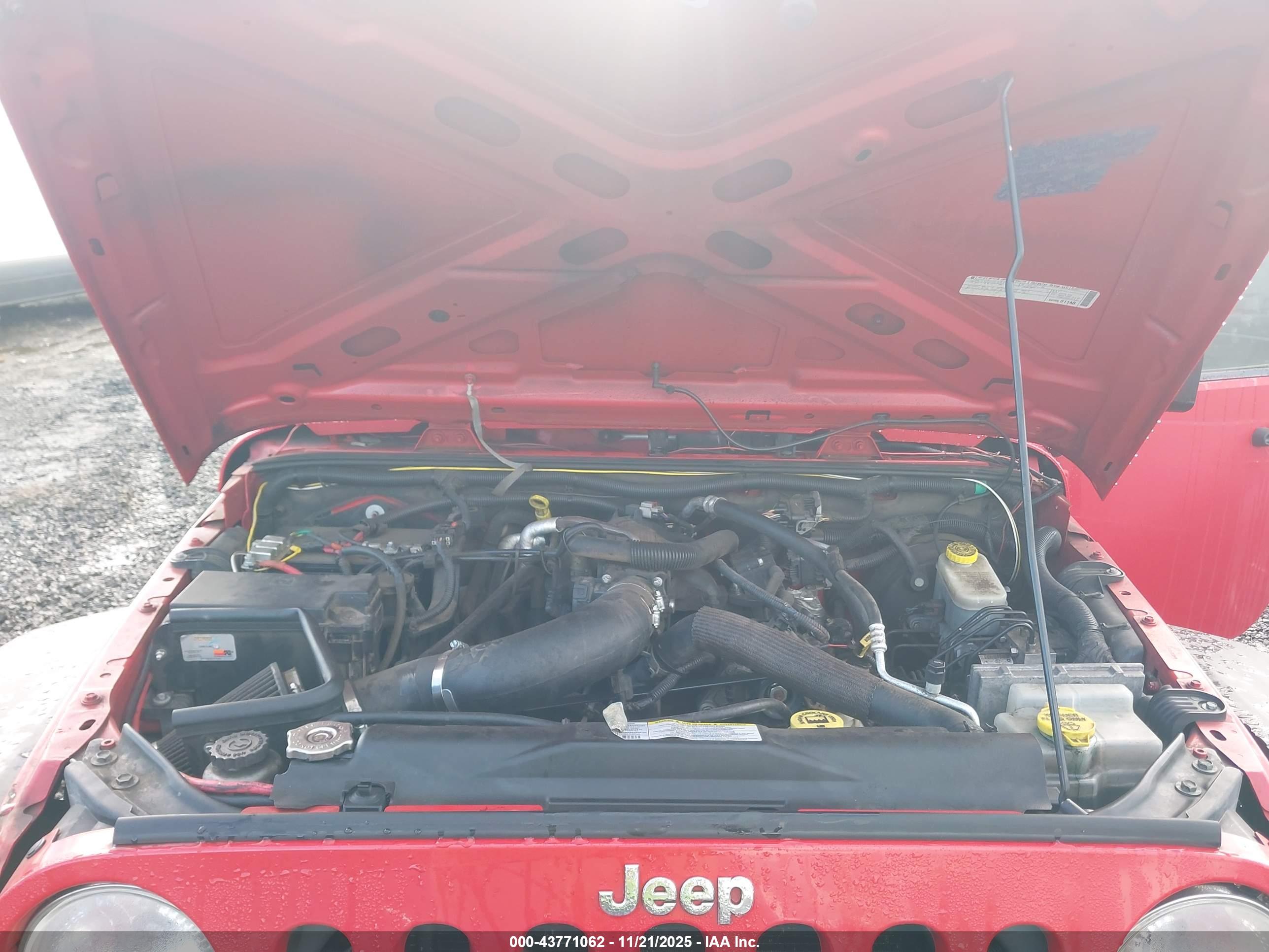 JEEP WRANGLER image 10