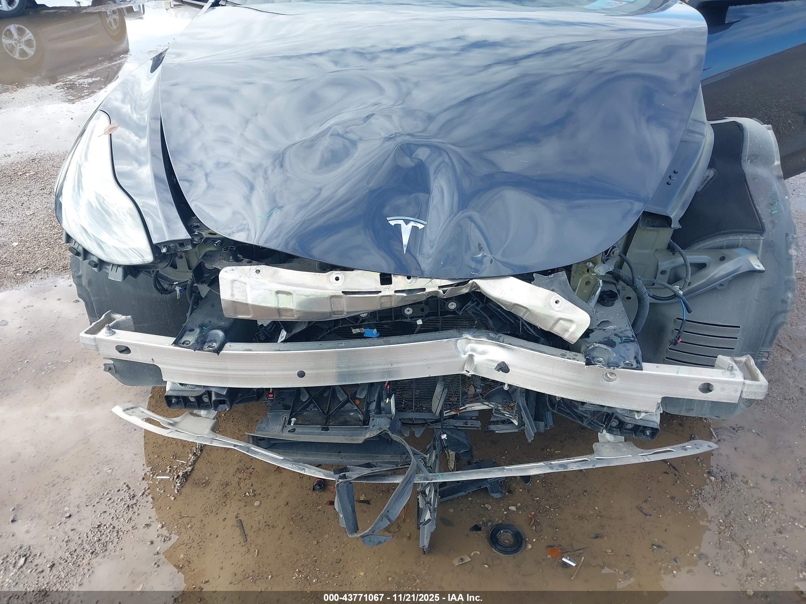 TESLA MODEL image 6